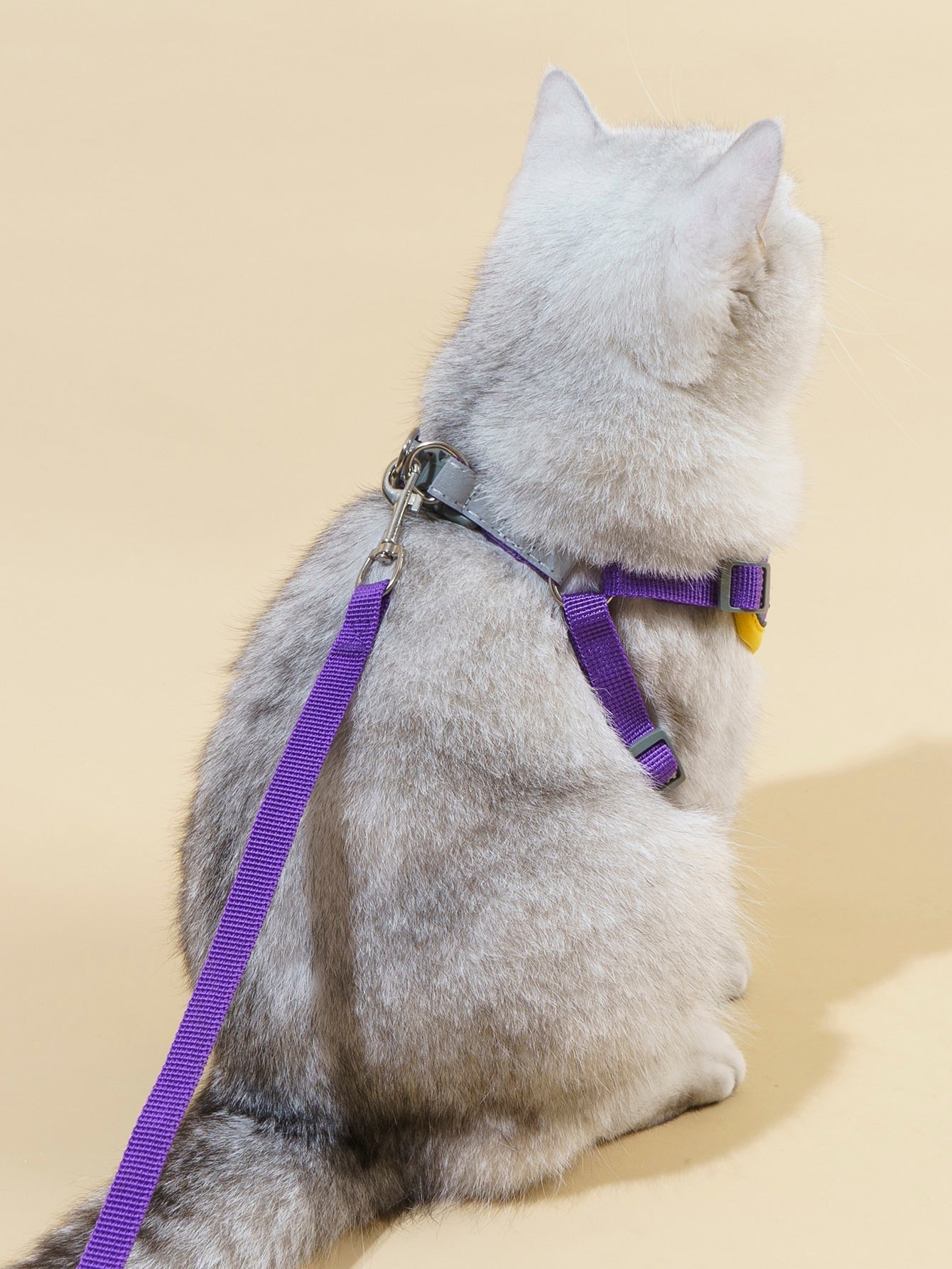 2pcs Dog Print Pet Leash Harness Set