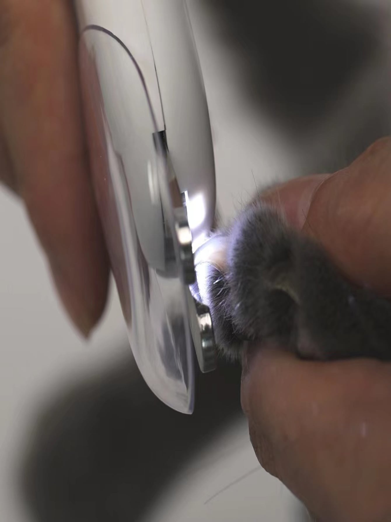 1pc Pet Nail Clippers