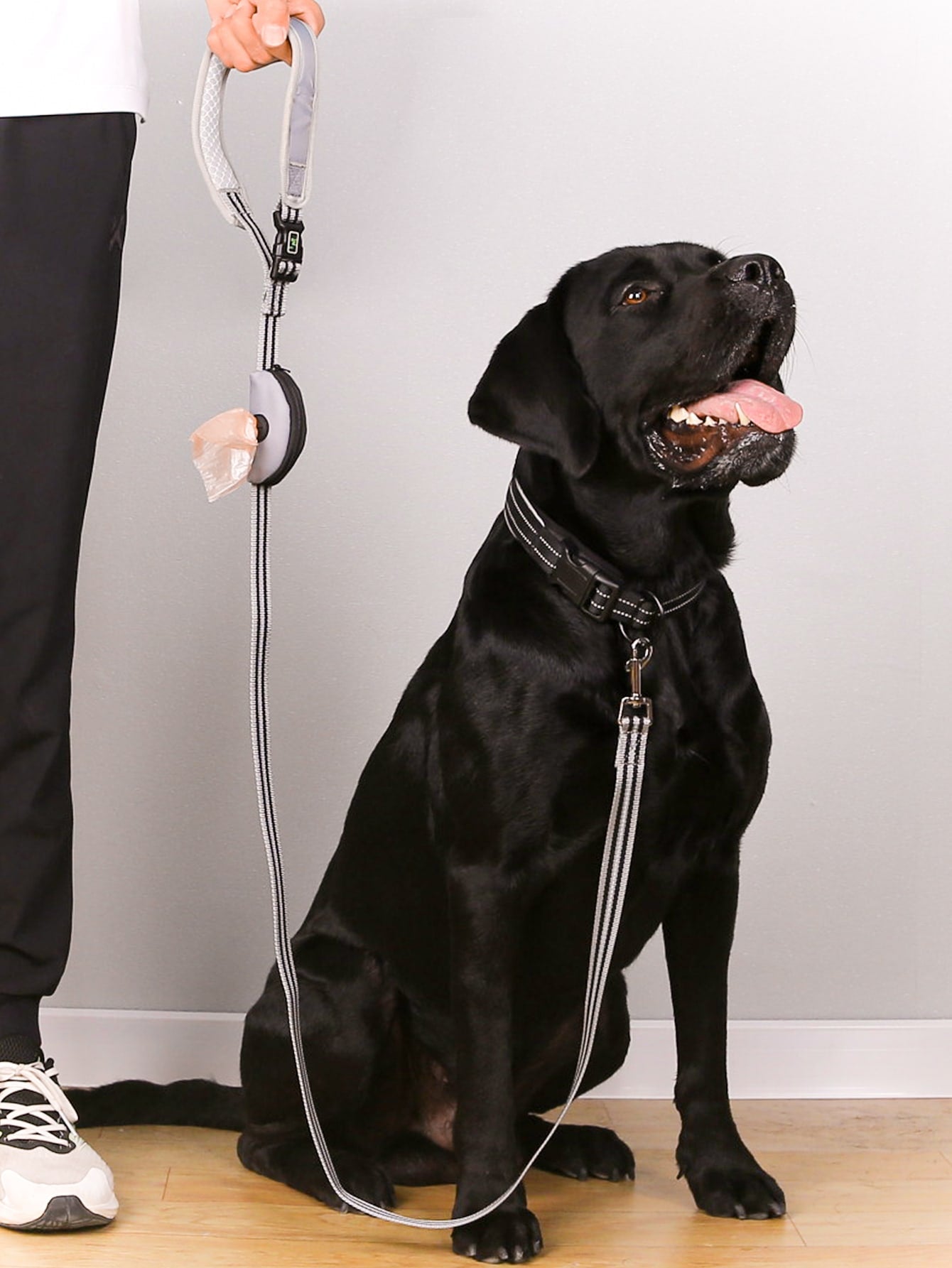 1pc Two Tone Pet Leash With Poopbag Dispenser 1roll Poopbag
