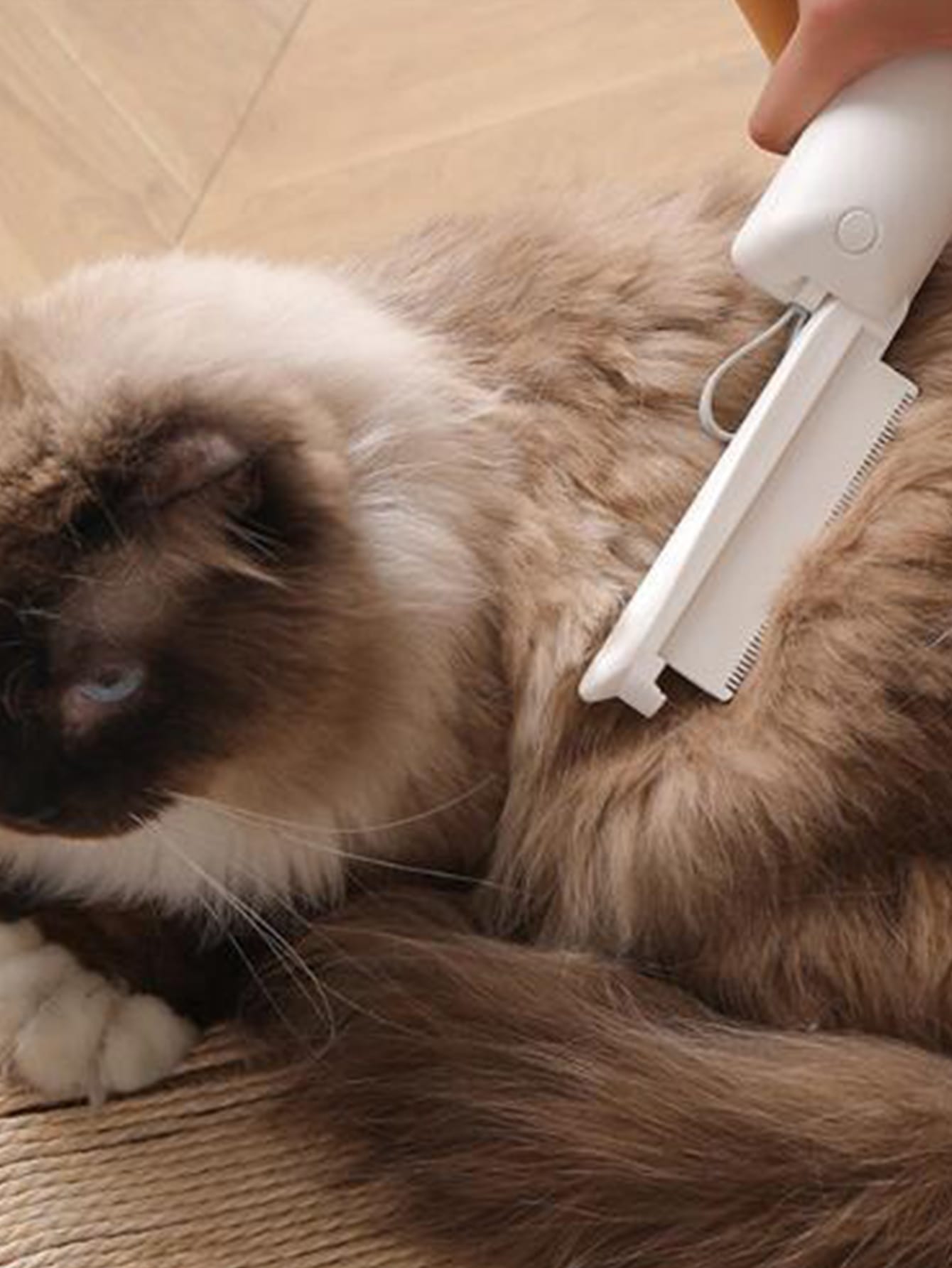 1pc Random Color Pet Hair Remover Comb