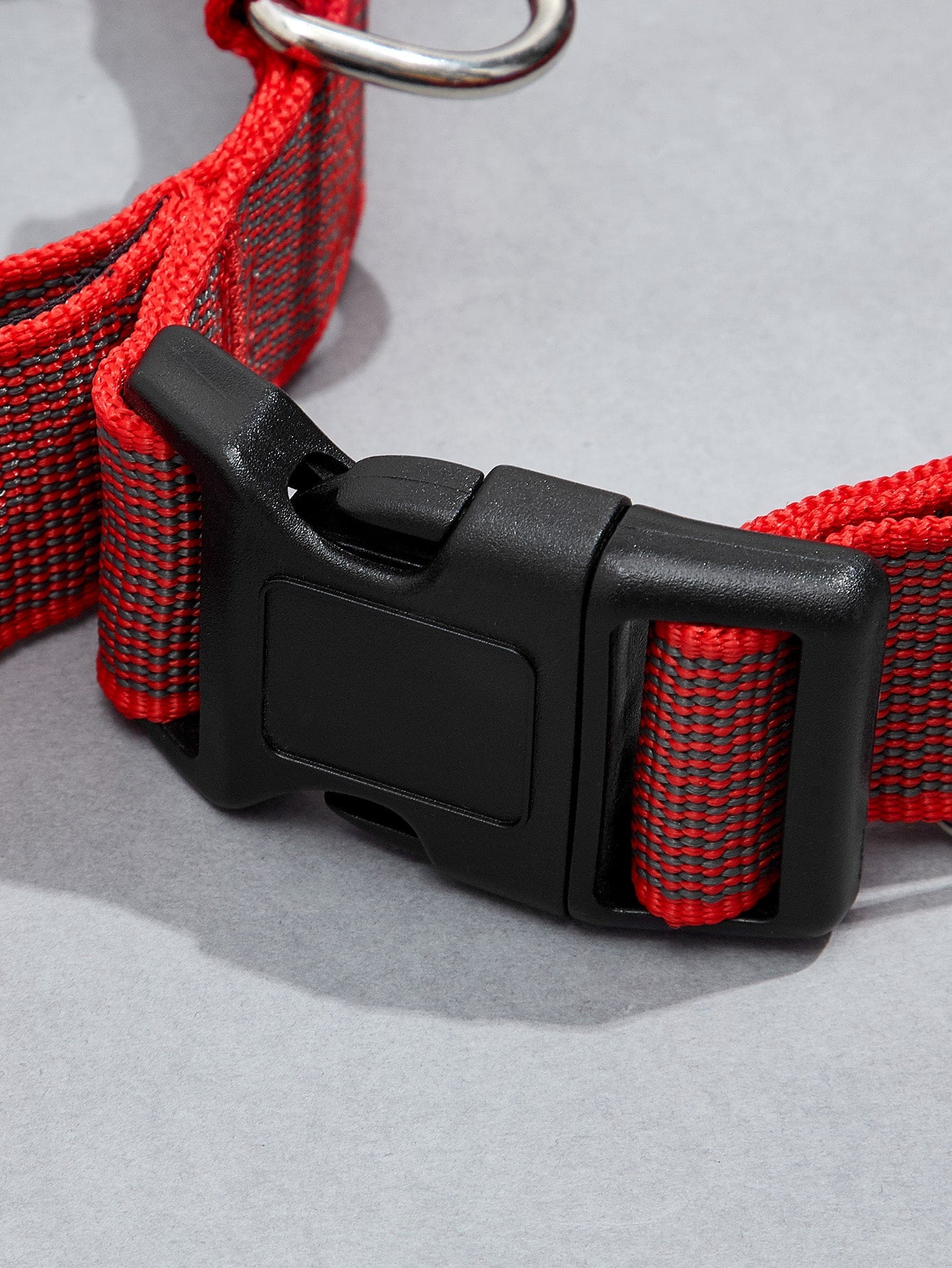 Letter Graphic Pet Collar