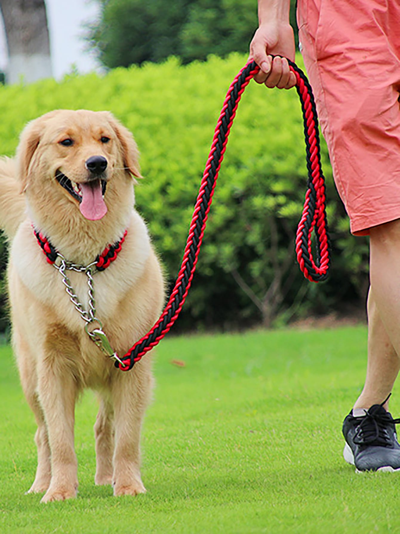 1pc Random Color Pet Collar 1pc Leash