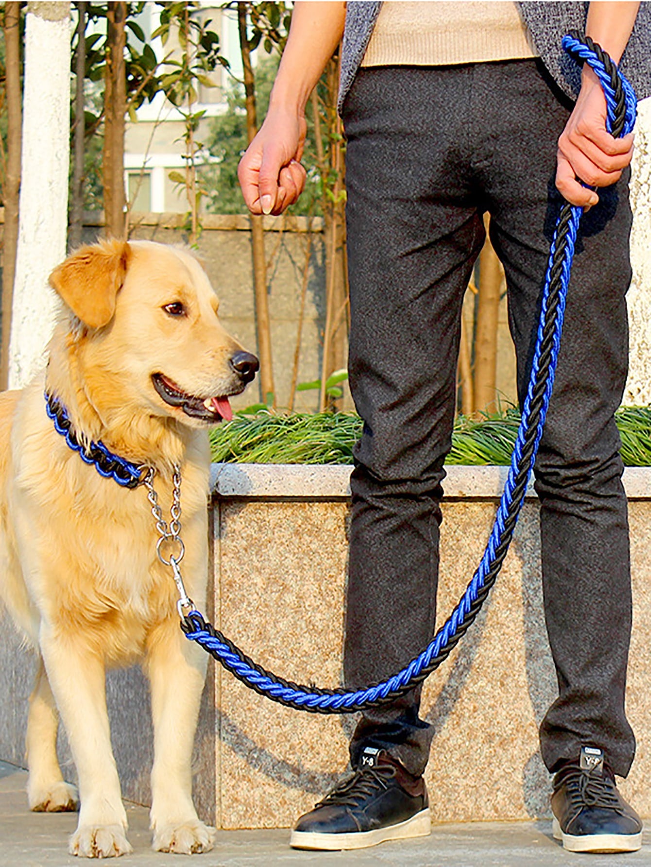 1pc Random Color Pet Collar 1pc Leash