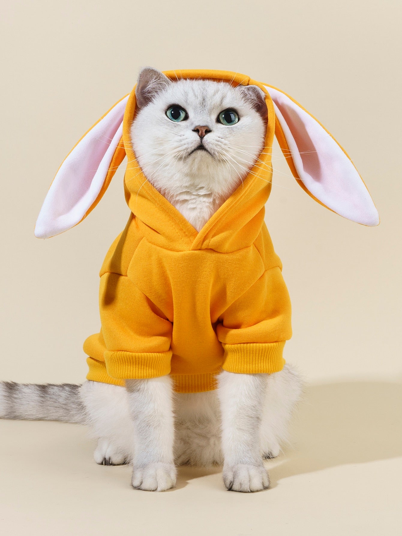 PETSIN Rabbit Ear Design Pet Hoodie