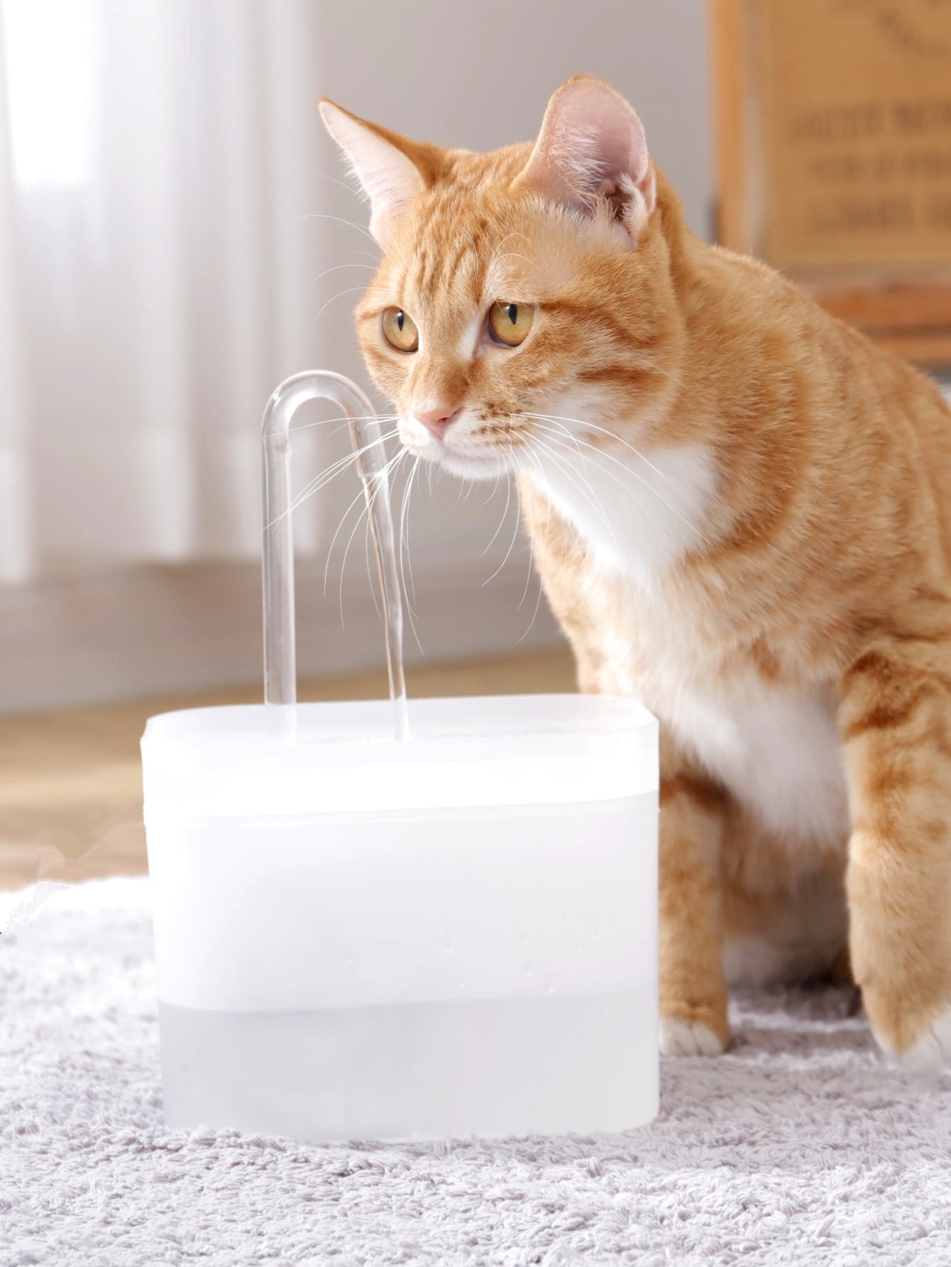 1pc Pet Automatic Waterer