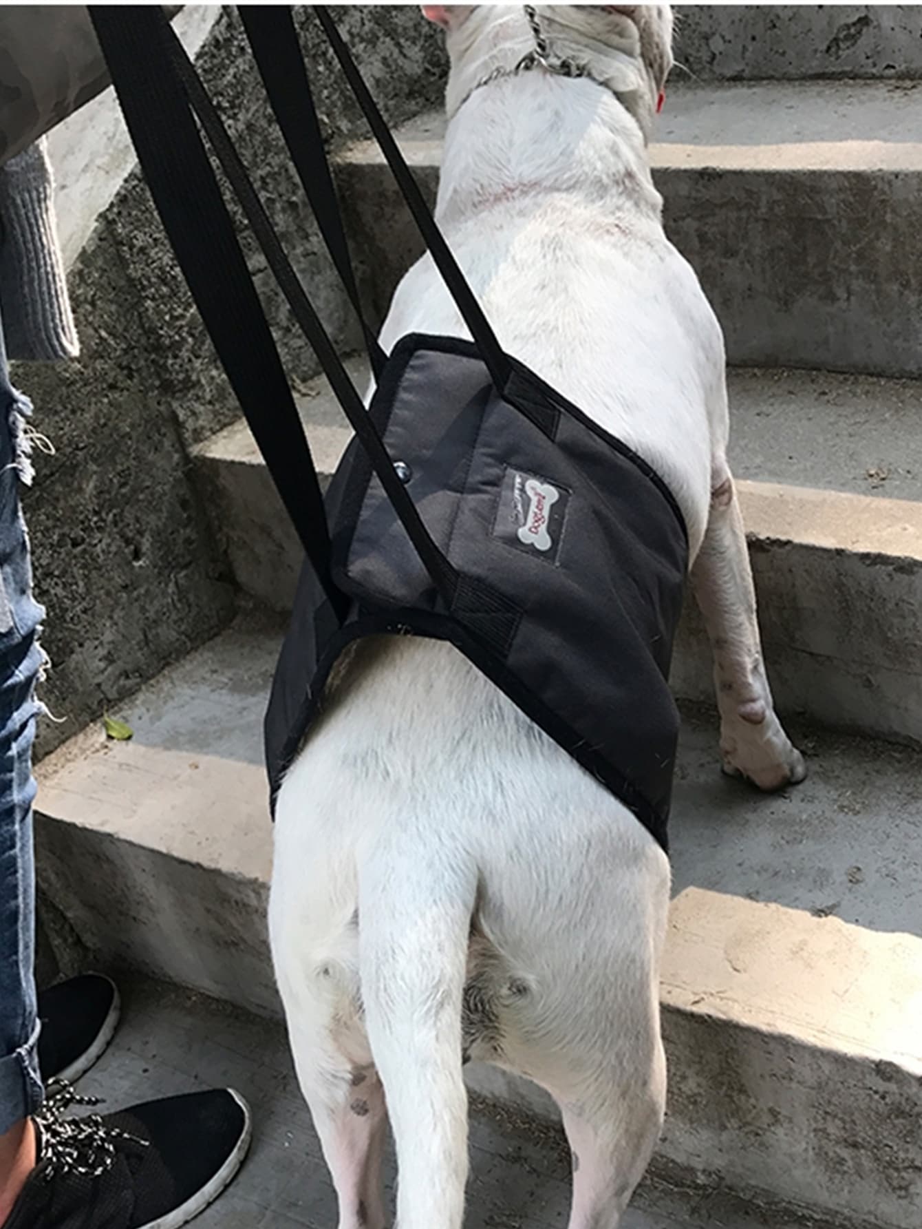 1pc Pet Auxiliary Walking Safety Belt