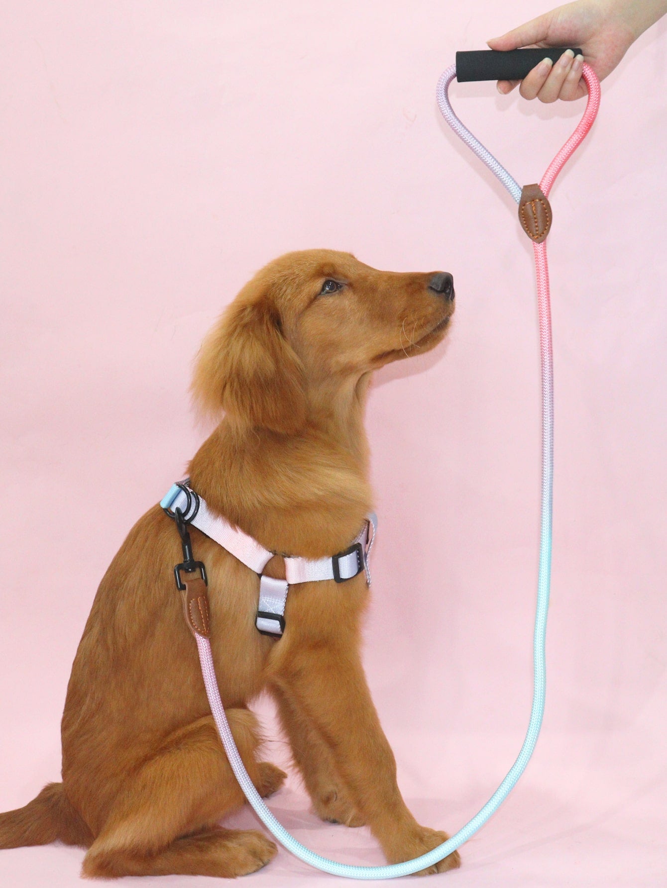 1pc Colorblock Pet Leash