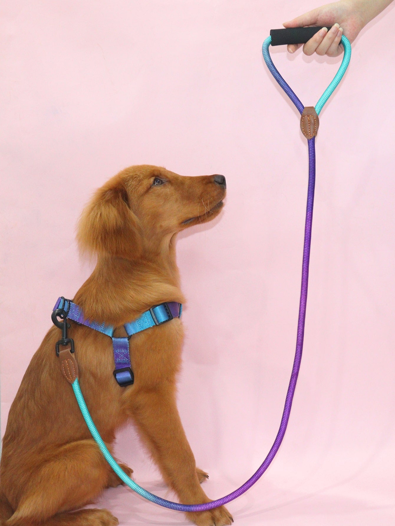 1pc Colorblock Pet Leash