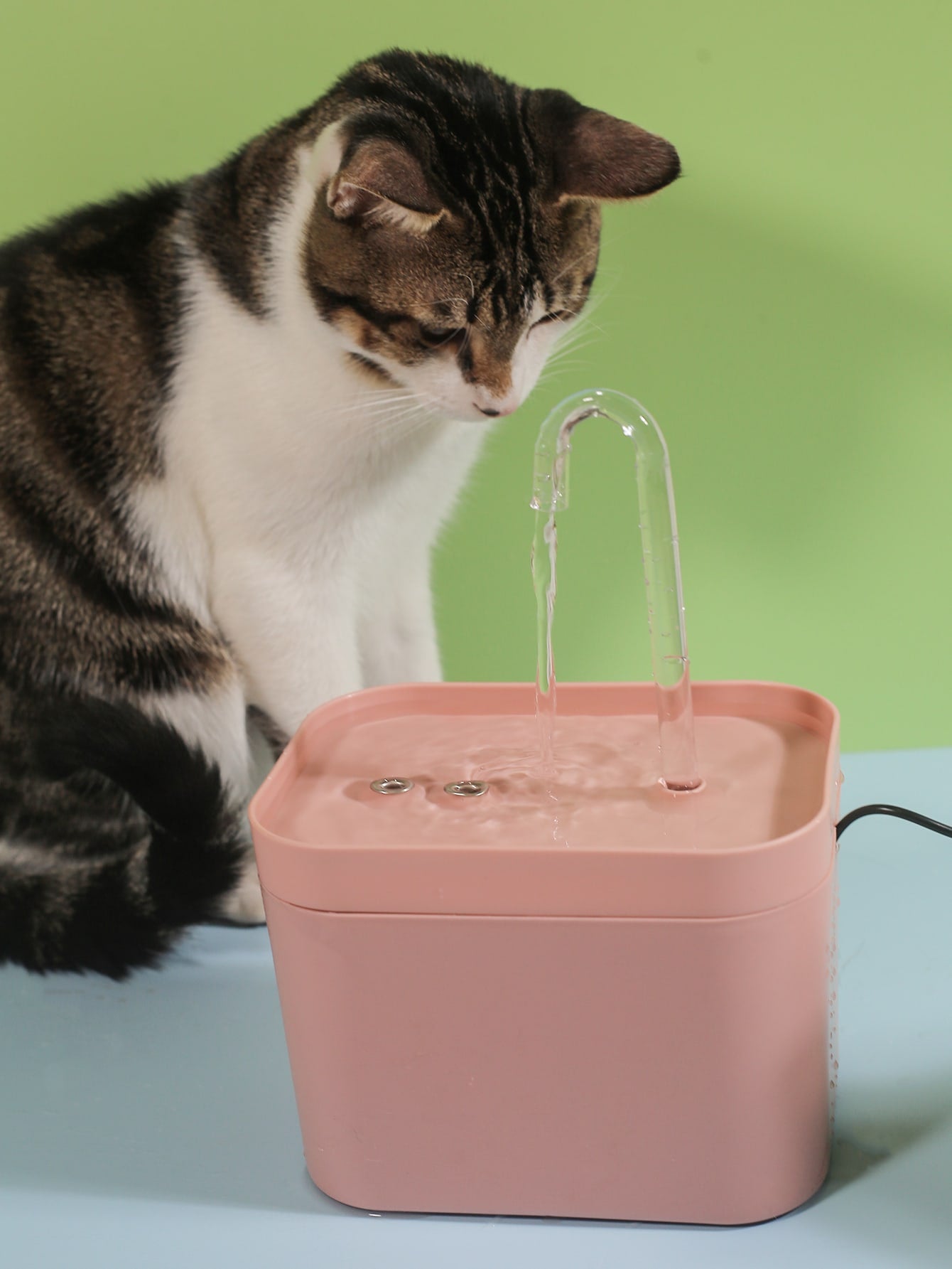 1pc Pet Automatic Waterer