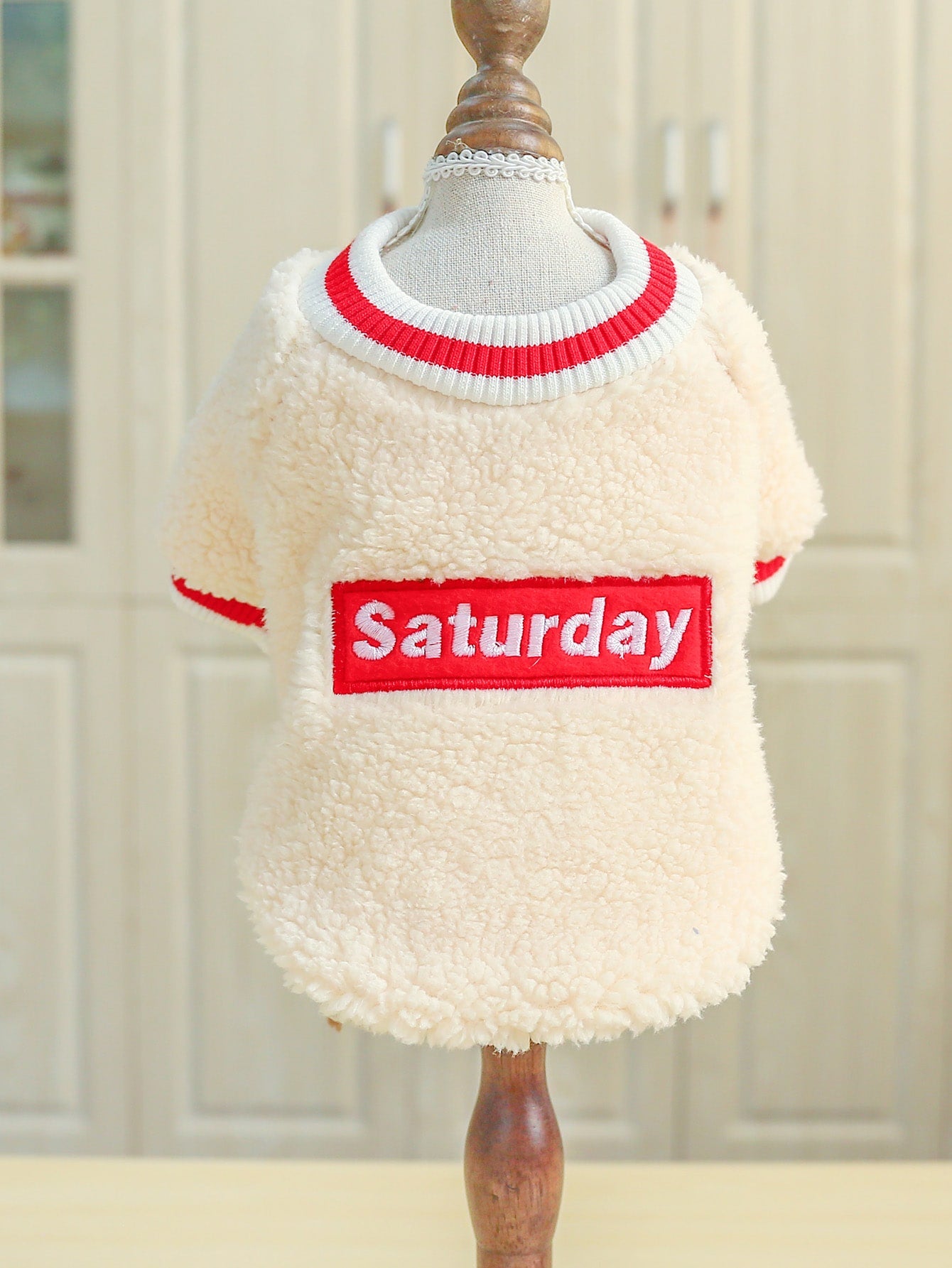 Letter Graphic Plush Pet Sweatshirt
