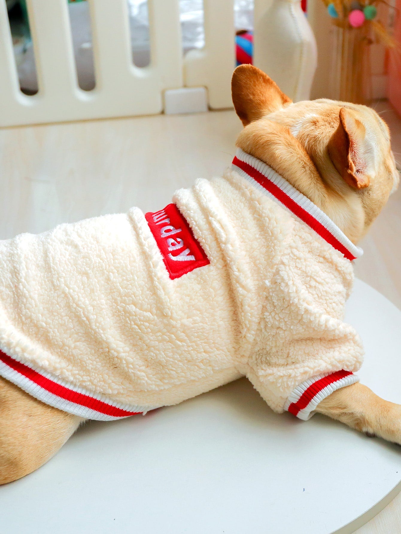 Letter Graphic Plush Pet Sweatshirt