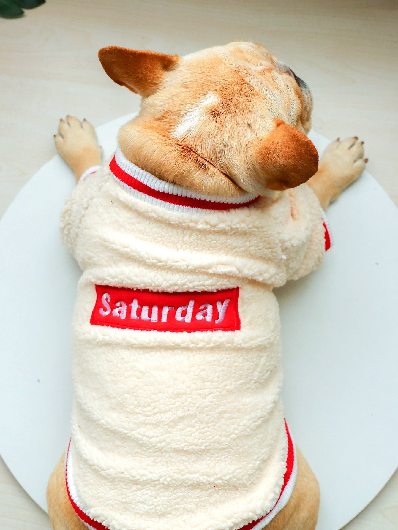 Letter Graphic Plush Pet Sweatshirt