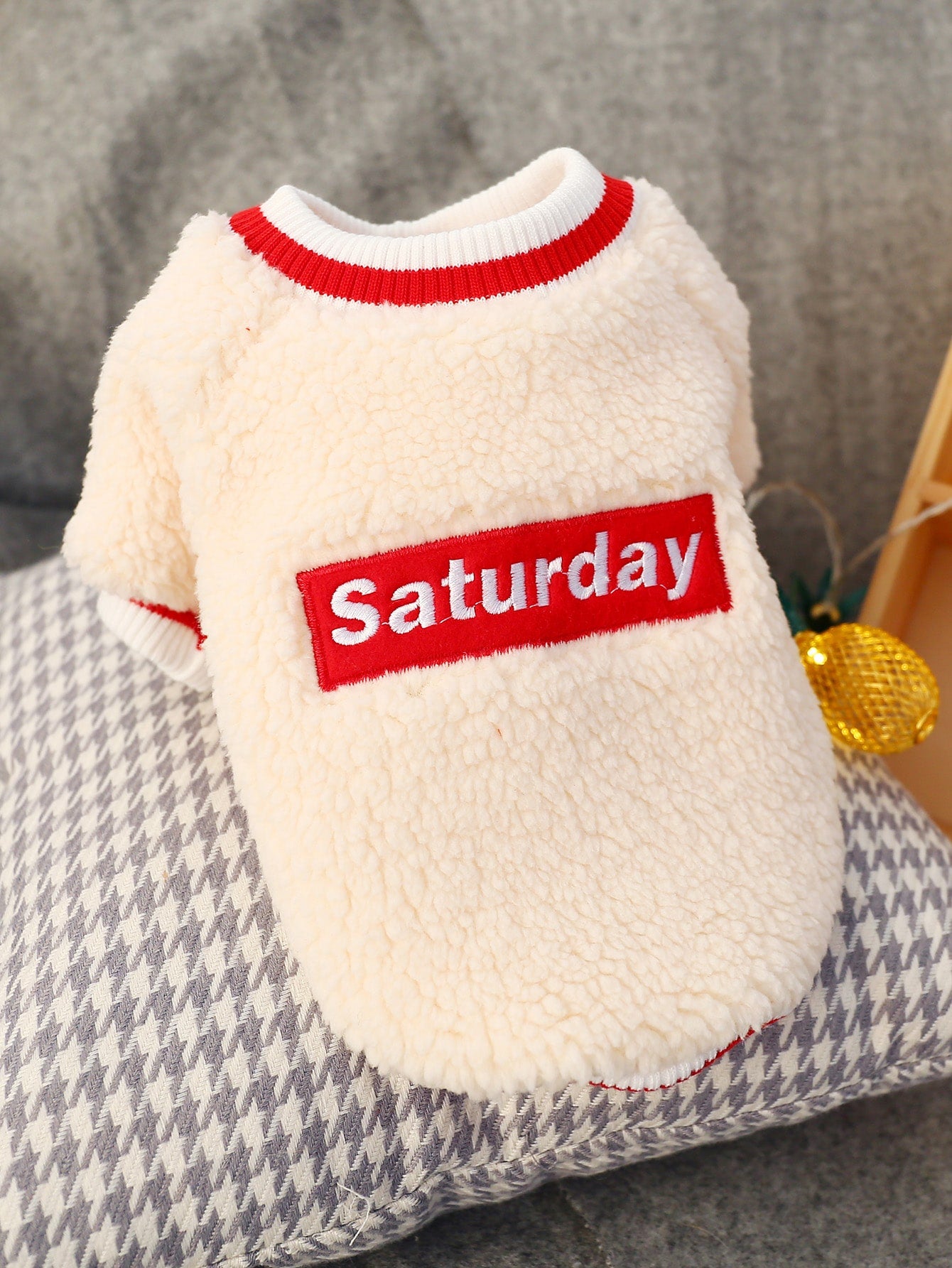 Letter Graphic Plush Pet Sweatshirt