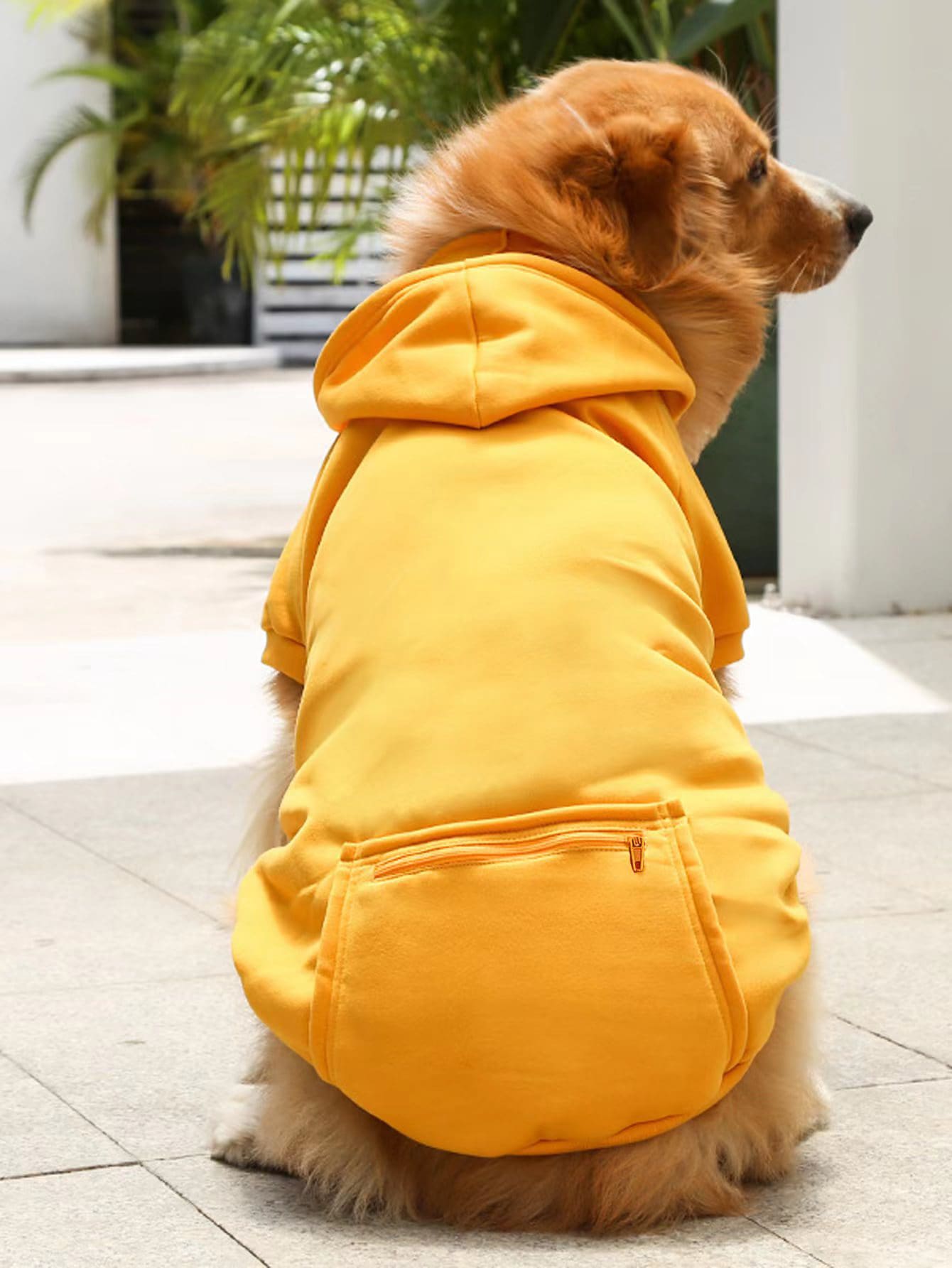 Plain Pet Hoodie