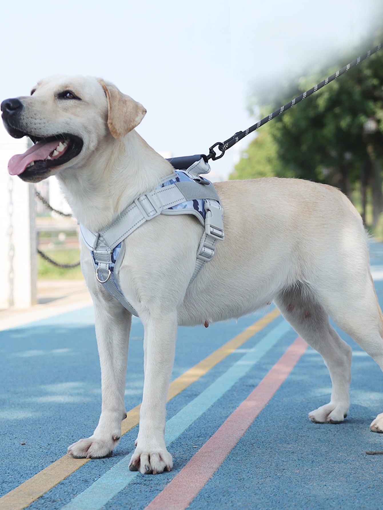 1pc Geometric Pattern Pet Harness