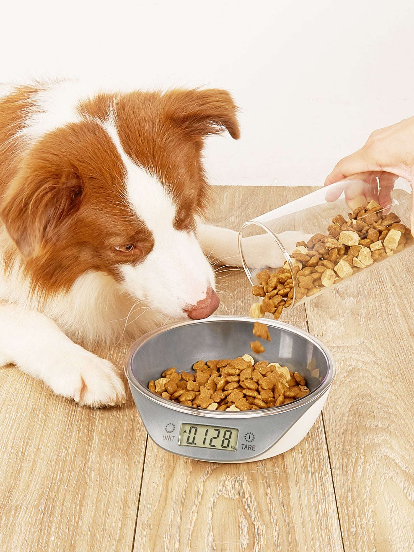 Buy Food Bowl with Digital Scale for your dog