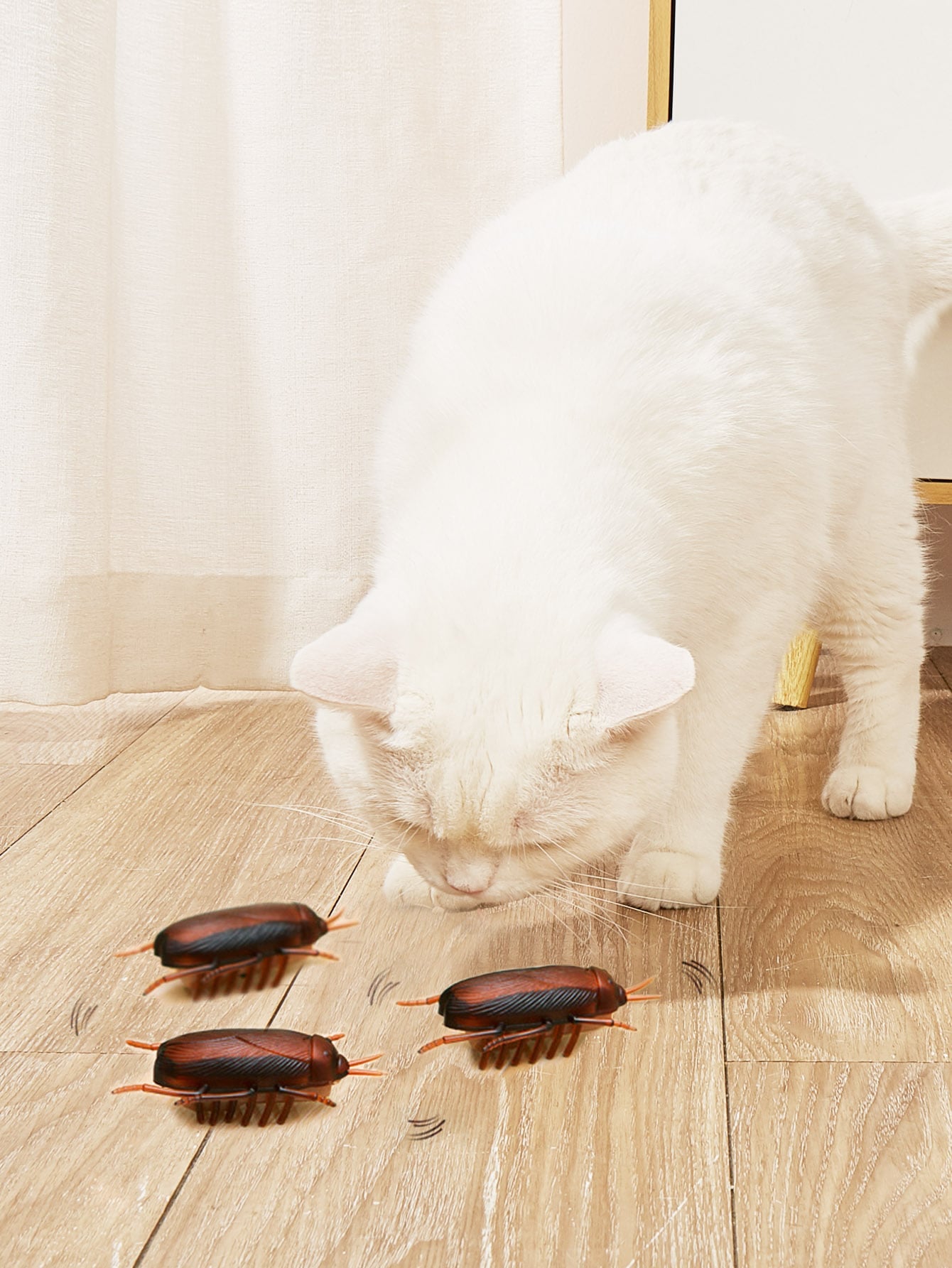 1pc Cockroach Design Electronic Cat Toy