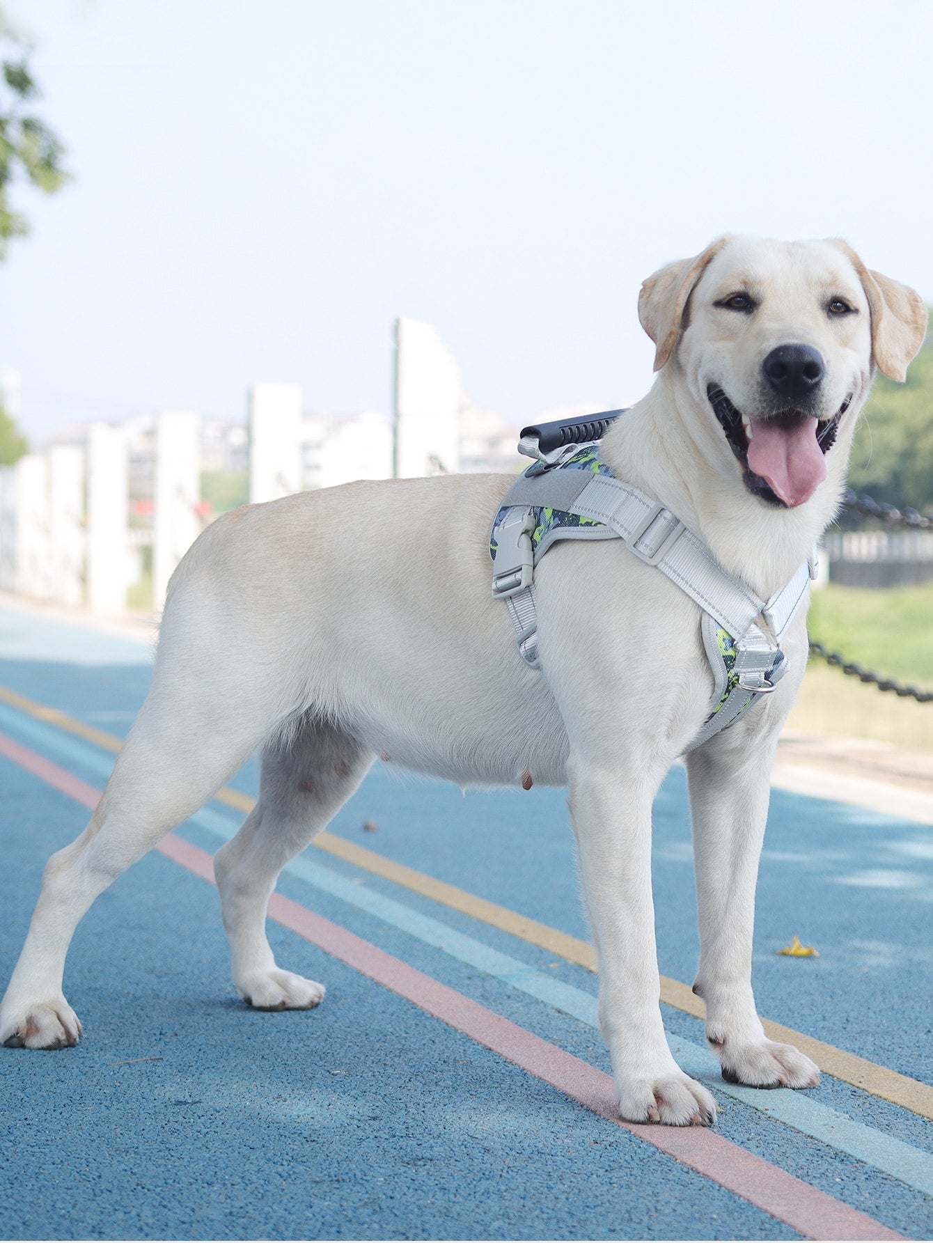 1pc Geometric Pattern Pet Harness