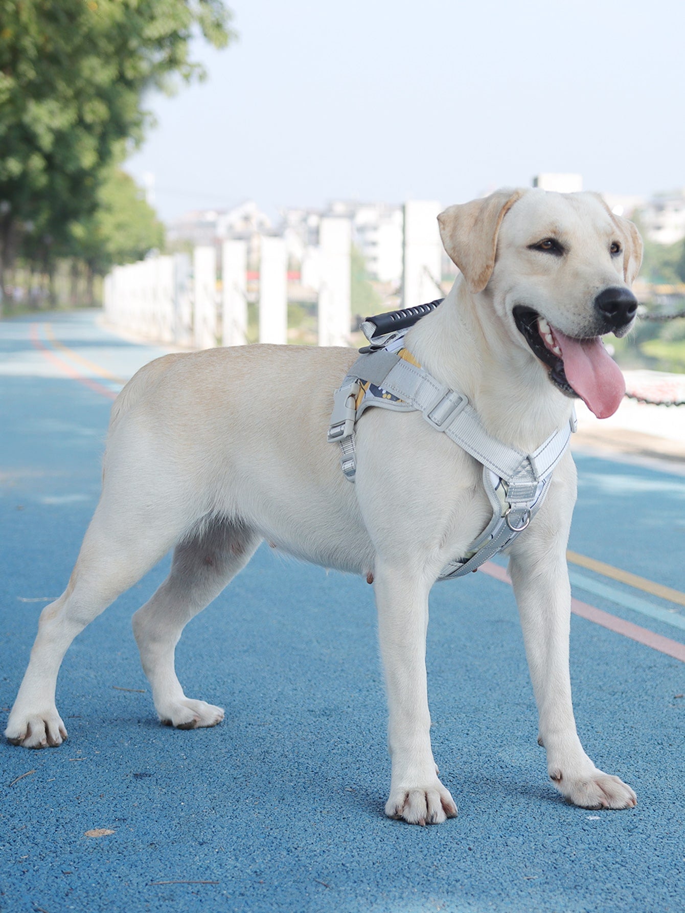 1pc Geometric Pattern Pet Harness