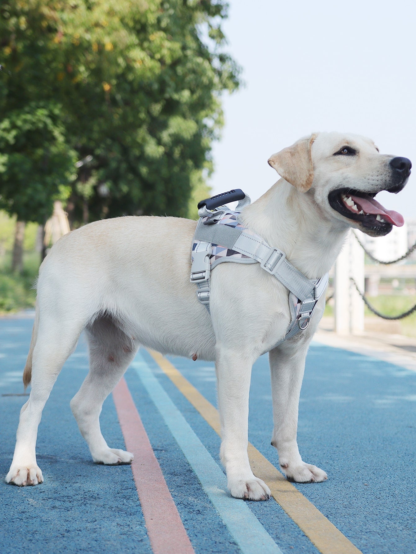 1pc Geometric Pattern Pet Harness