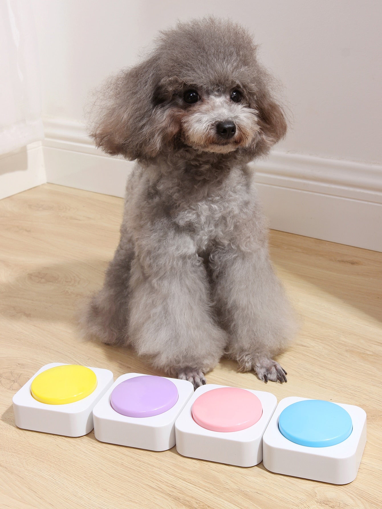 1pc Random Voice Recording Button Design Pet Communication Toy