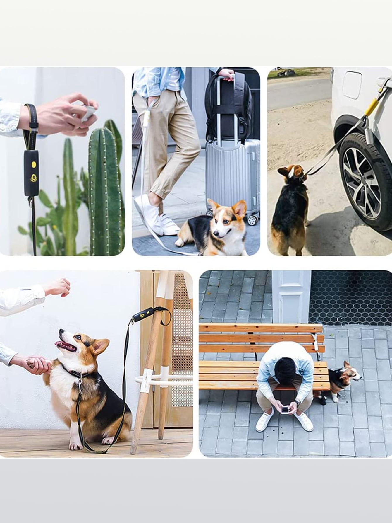 1pc Paw Print Pet Leash