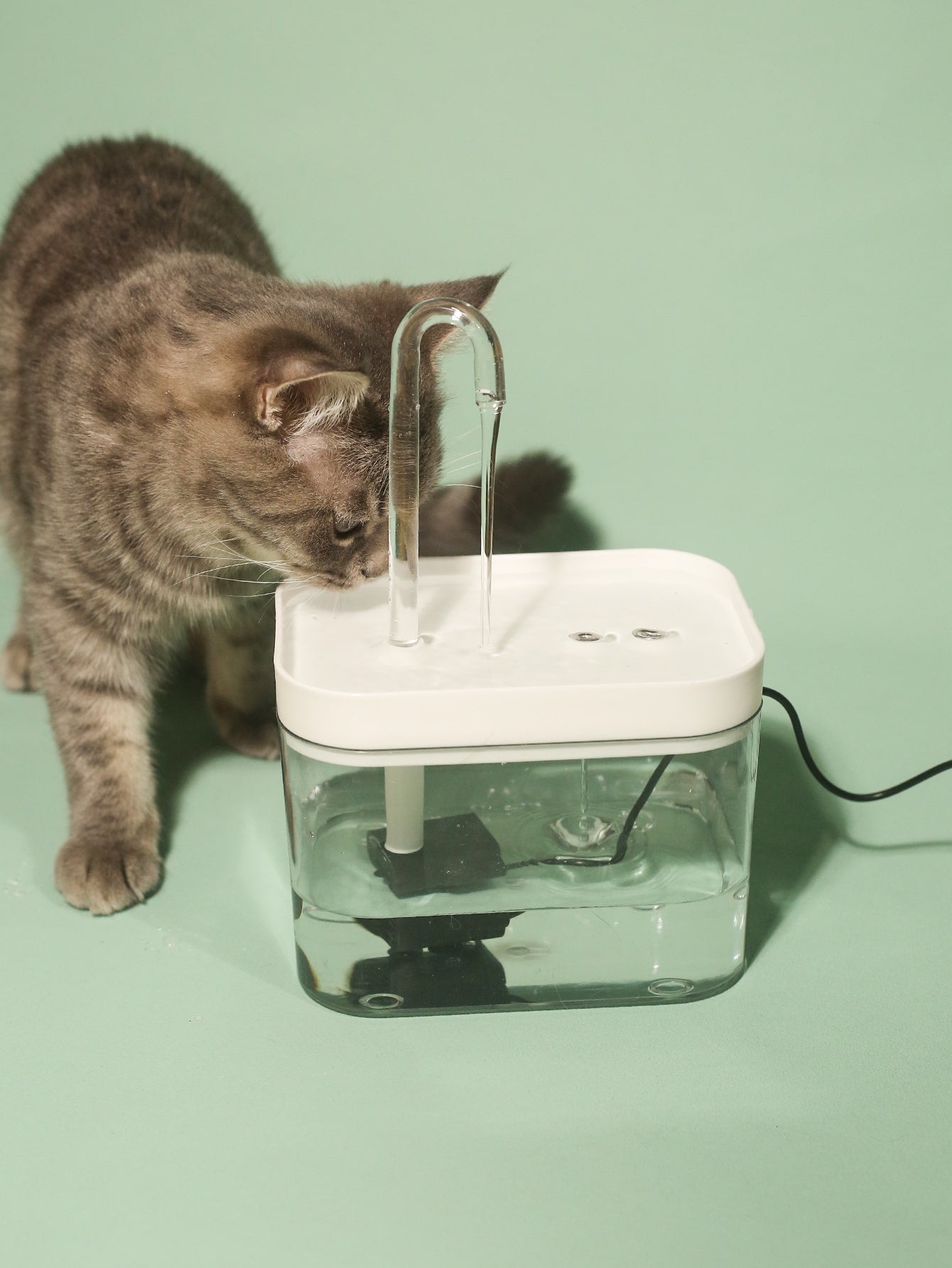 1pc Pet Automatic Waterer