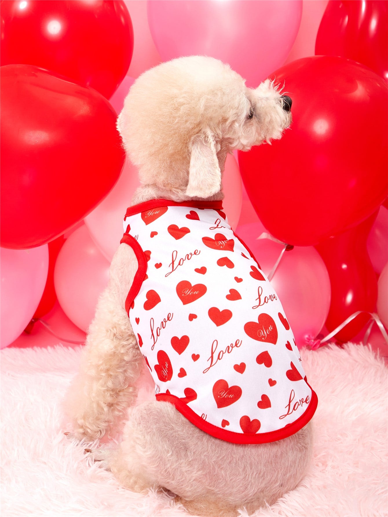 PETSIN Heart Letter Graphic Pet Tank