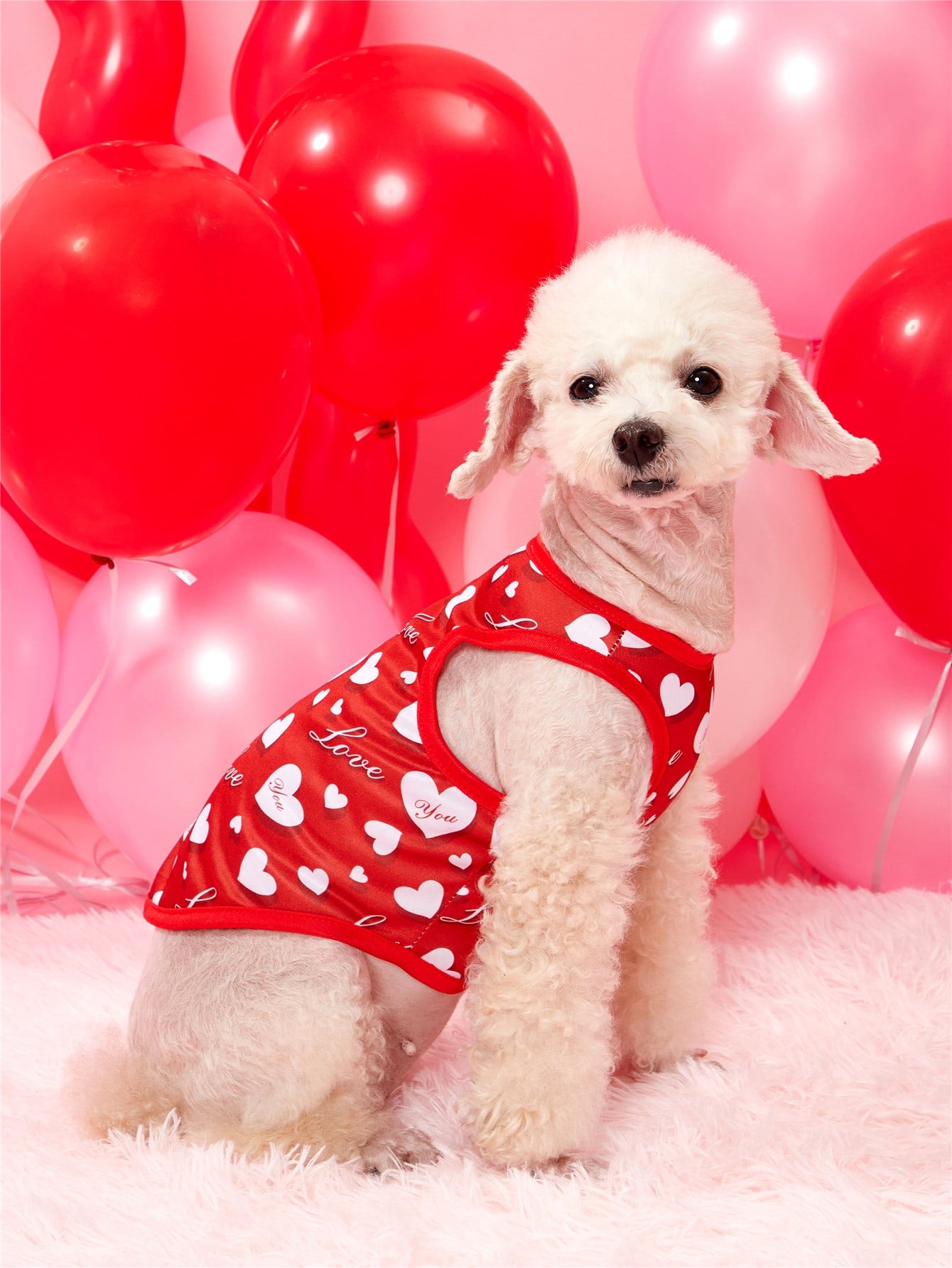 PETSIN Heart Letter Graphic Pet Tank