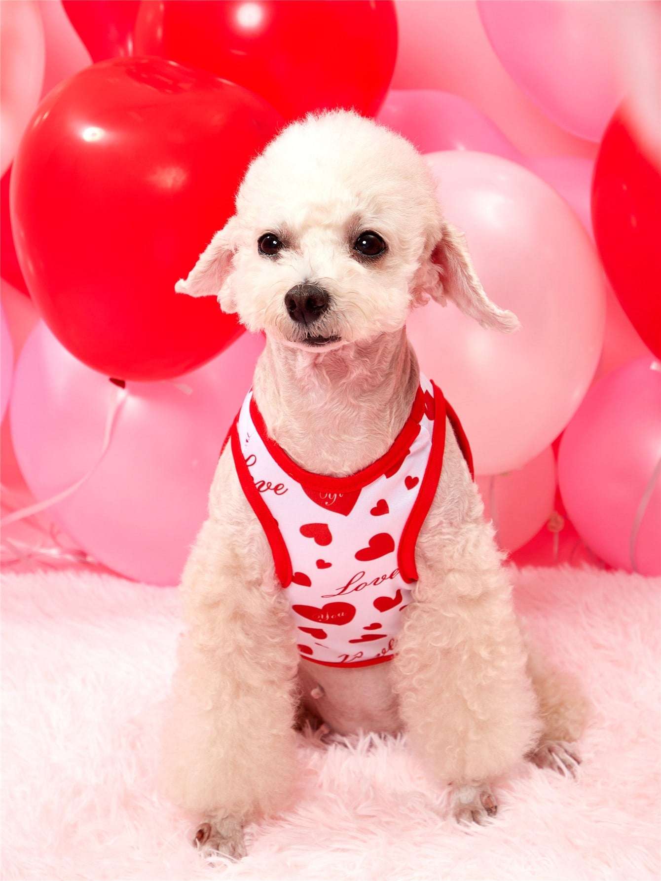 PETSIN Heart Letter Graphic Pet Tank