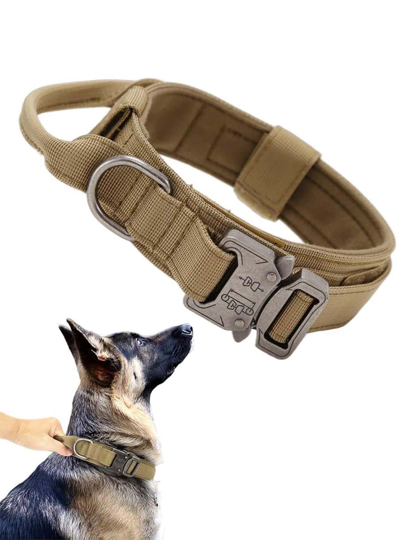 1pc Adjustable Pet Collar 1pc Pet Leash