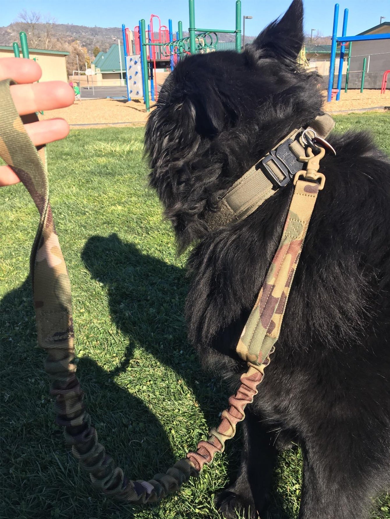 1pc Adjustable Pet Collar 1pc Pet Leash