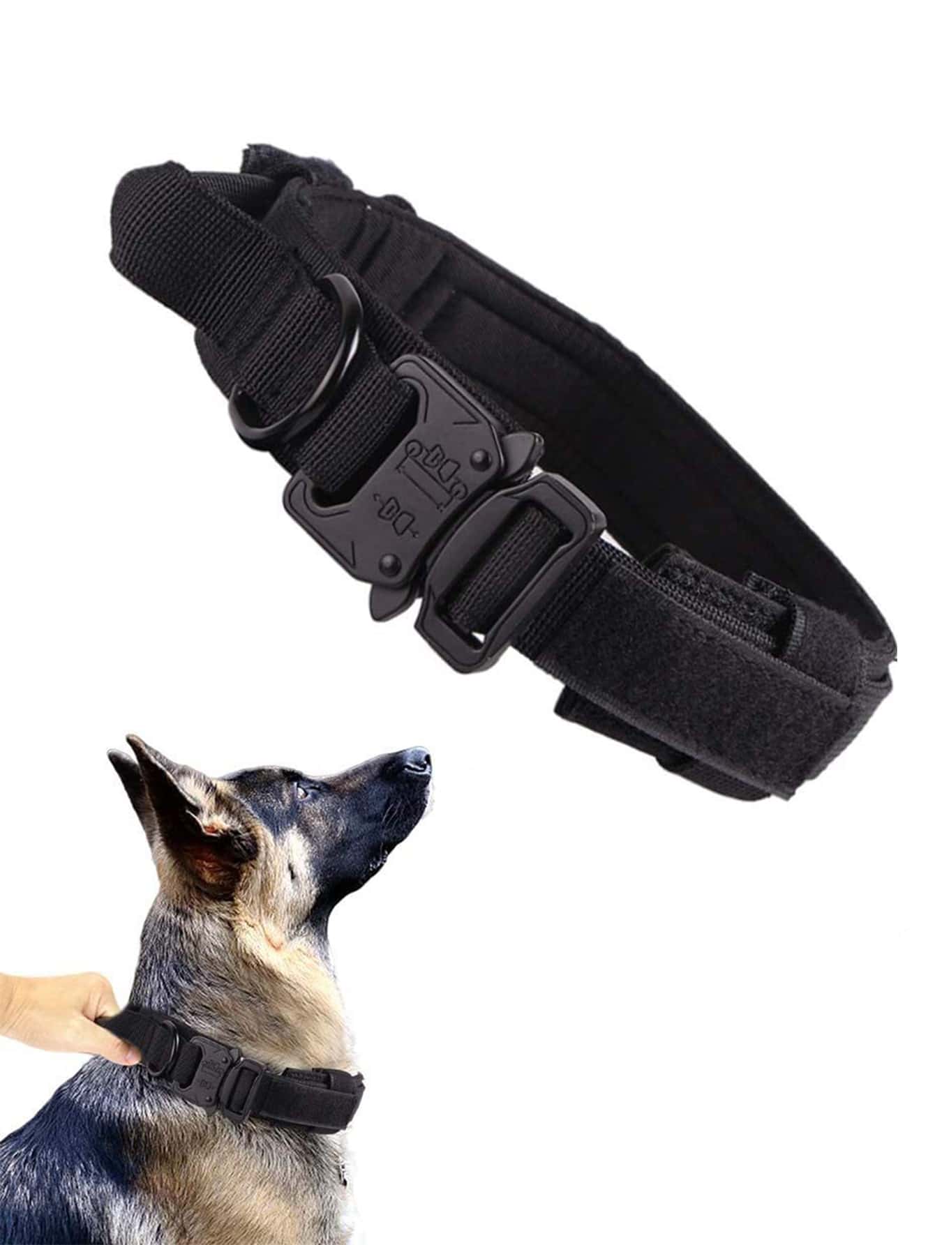1pc Adjustable Pet Collar 1pc Pet Leash