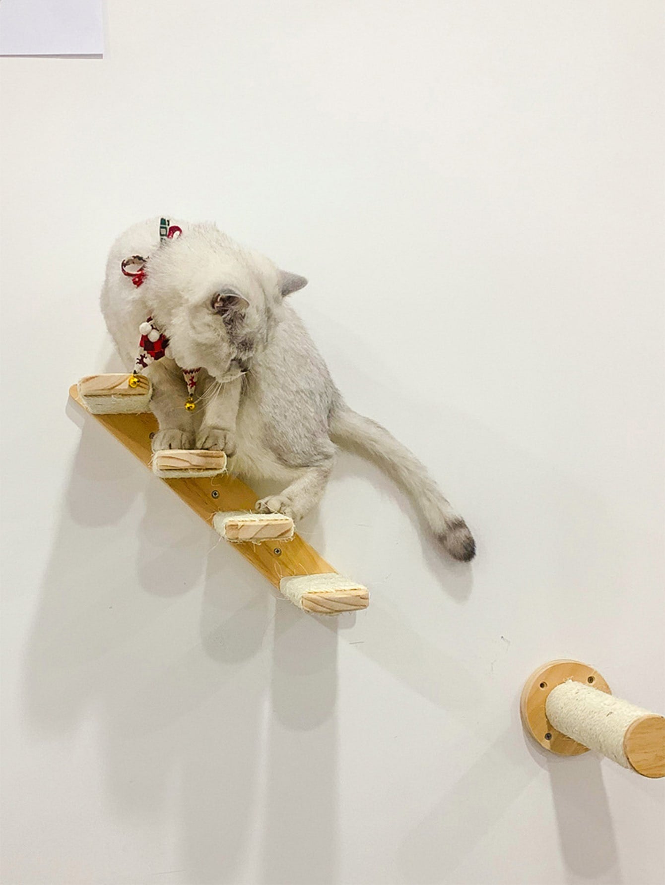 1pc Wall Mounted Cat Climbing Ladder For Cat For Play