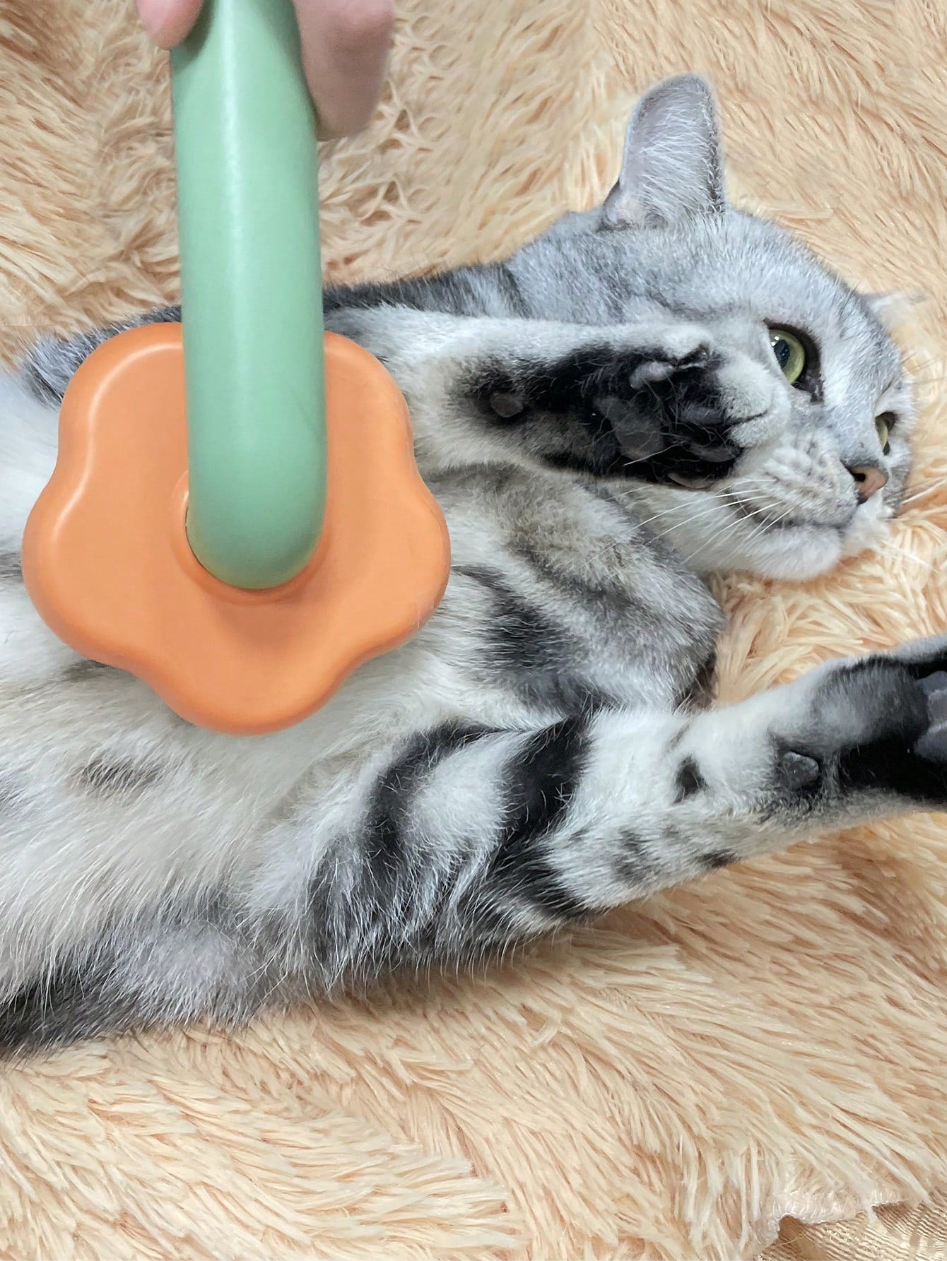 1pcs Pet Hair Comb Grooming Brush1pcs Pet Hair Comb Grooming Brush