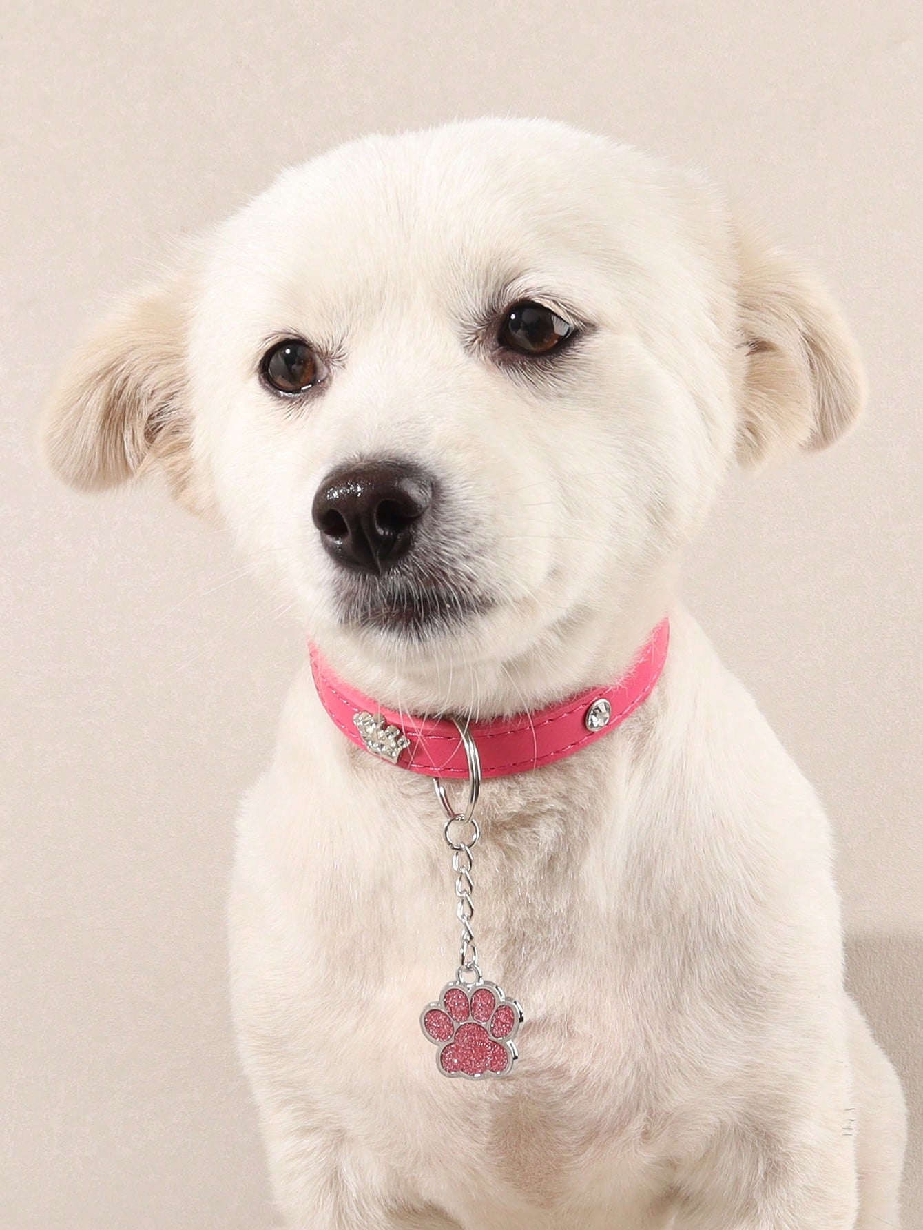 Paw Pendant Pet Collar