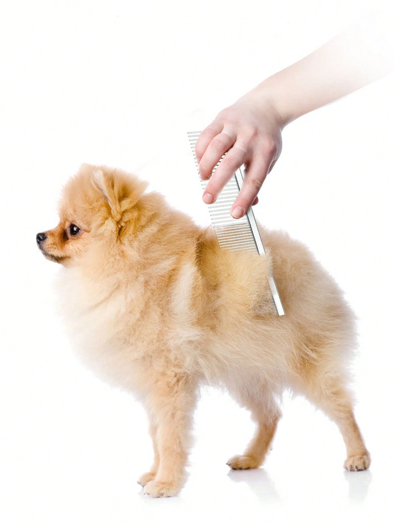 1pc Stainless Steel Pet Hair Remover Comb For Dog And Cat For Grooming