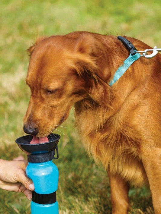 1pc Portable Pet Travel Bottle For Dog And Cat For Outdoor