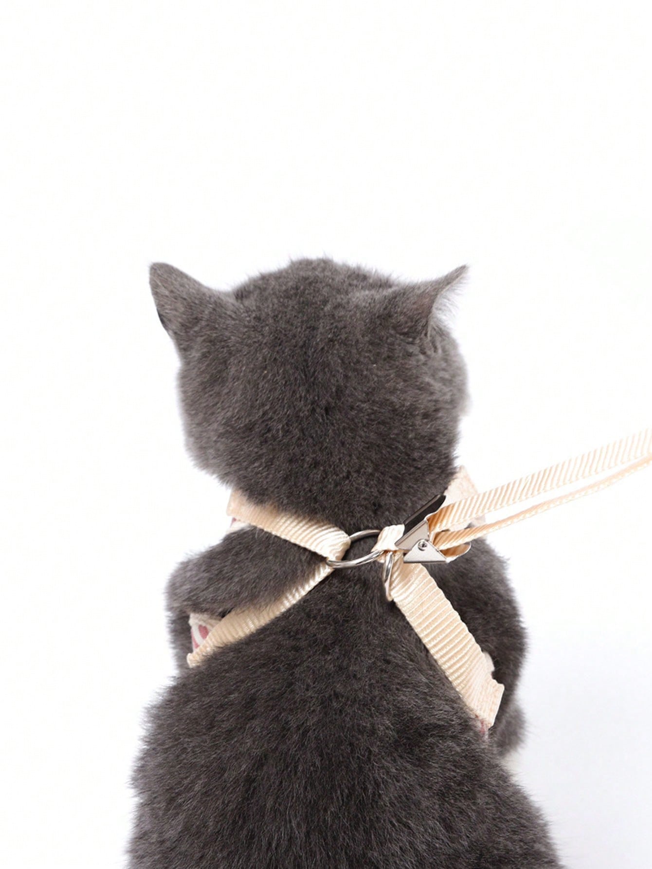 1pc Striped Pattern Bow Decor Cat Harness 1pc Leash