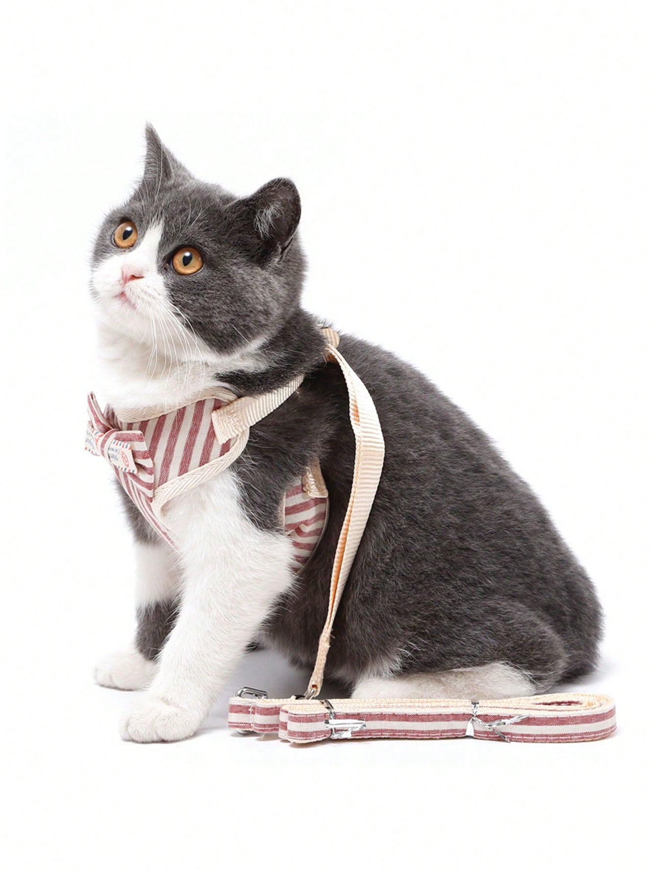 1pc Striped Pattern Bow Decor Cat Harness 1pc Leash