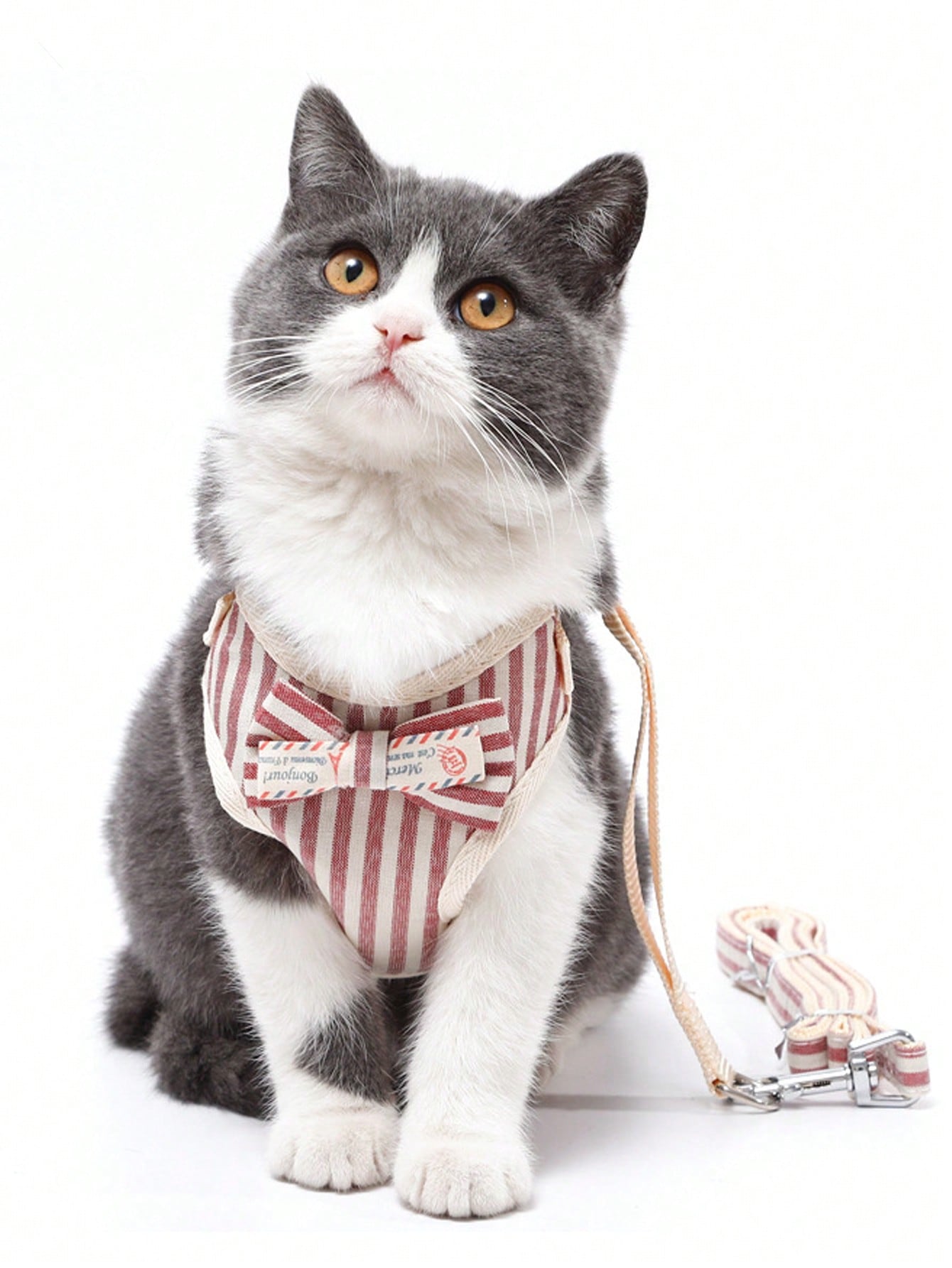 1pc Striped Pattern Bow Decor Cat Harness 1pc Leash