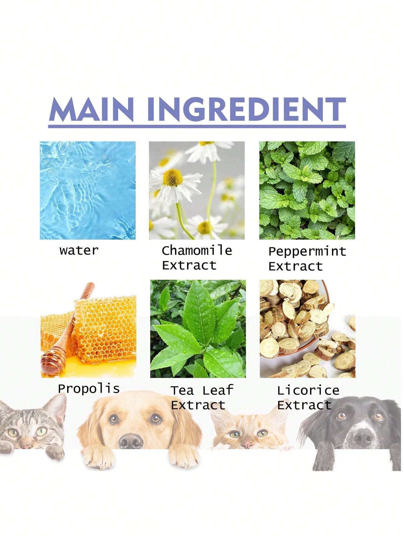 1pc Letter Graphic Pet Oral Care Spray For Dog And Cat For Cleaning