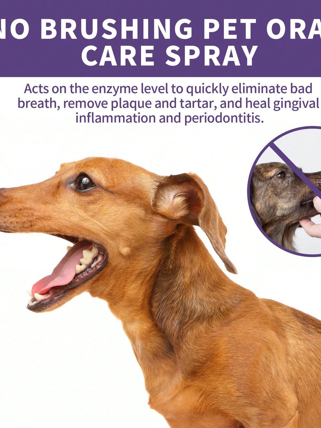 1pc Letter Graphic Pet Oral Care Spray For Dog And Cat For Cleaning
