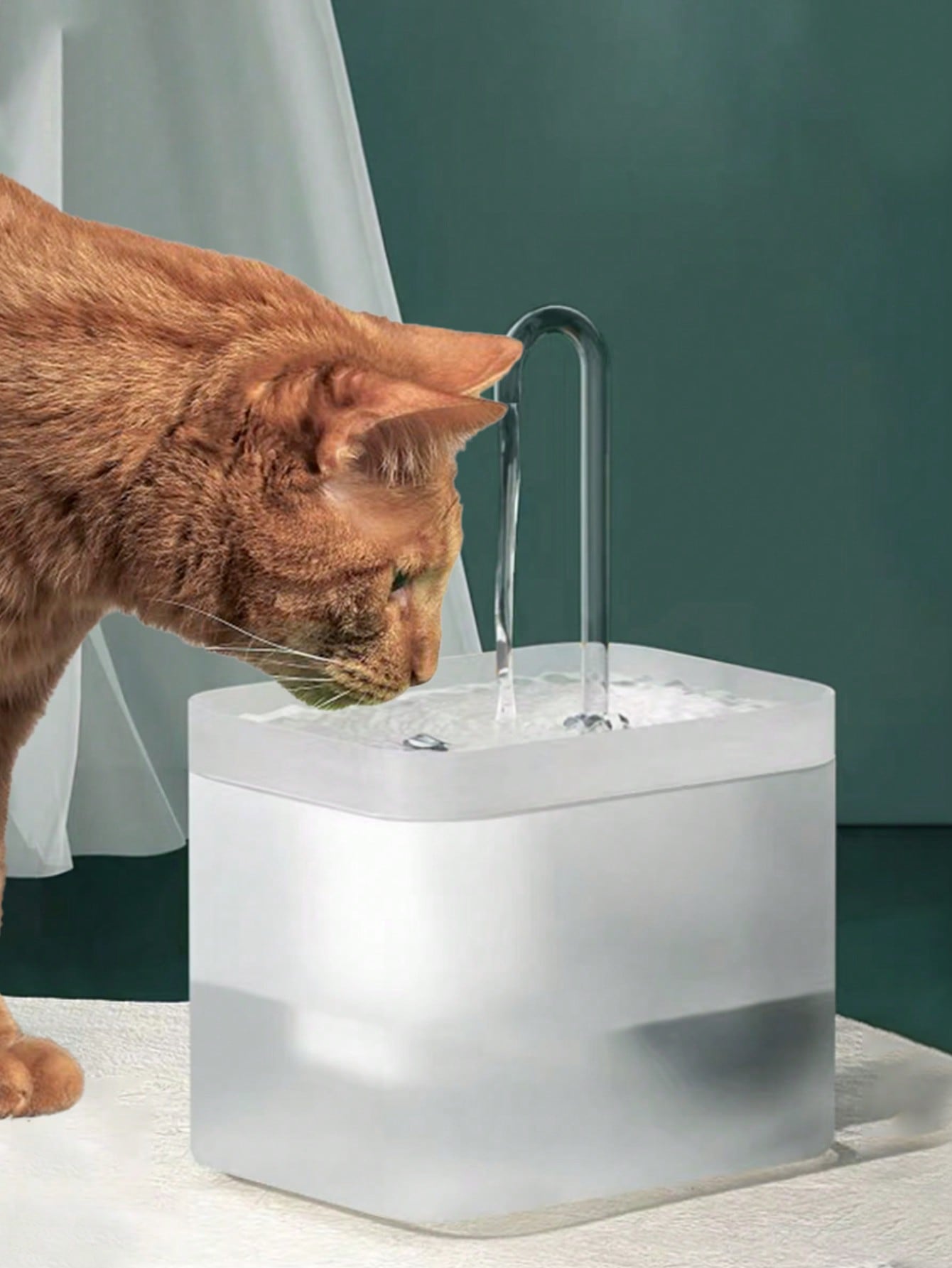 1pc Electric Pet Water Fountain For Dog And Cat For Drink More Water