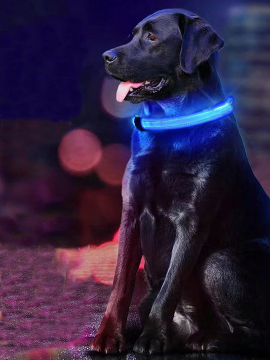 1pc LED Light Pet Collar Blue ABS Creative Pet Collar For Outdoor