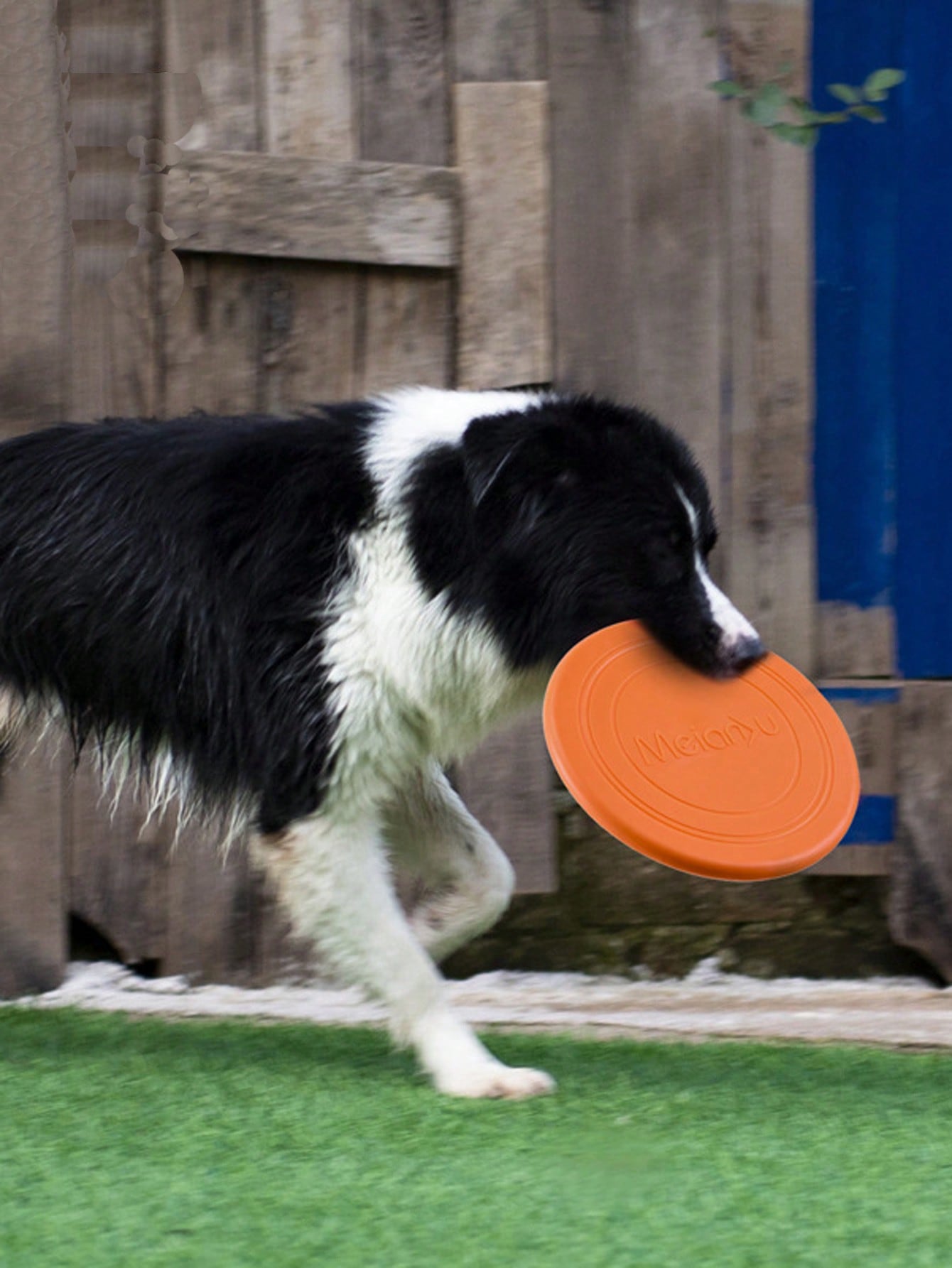 1pc Solid Color Pet Flying Disk For Dog For Training