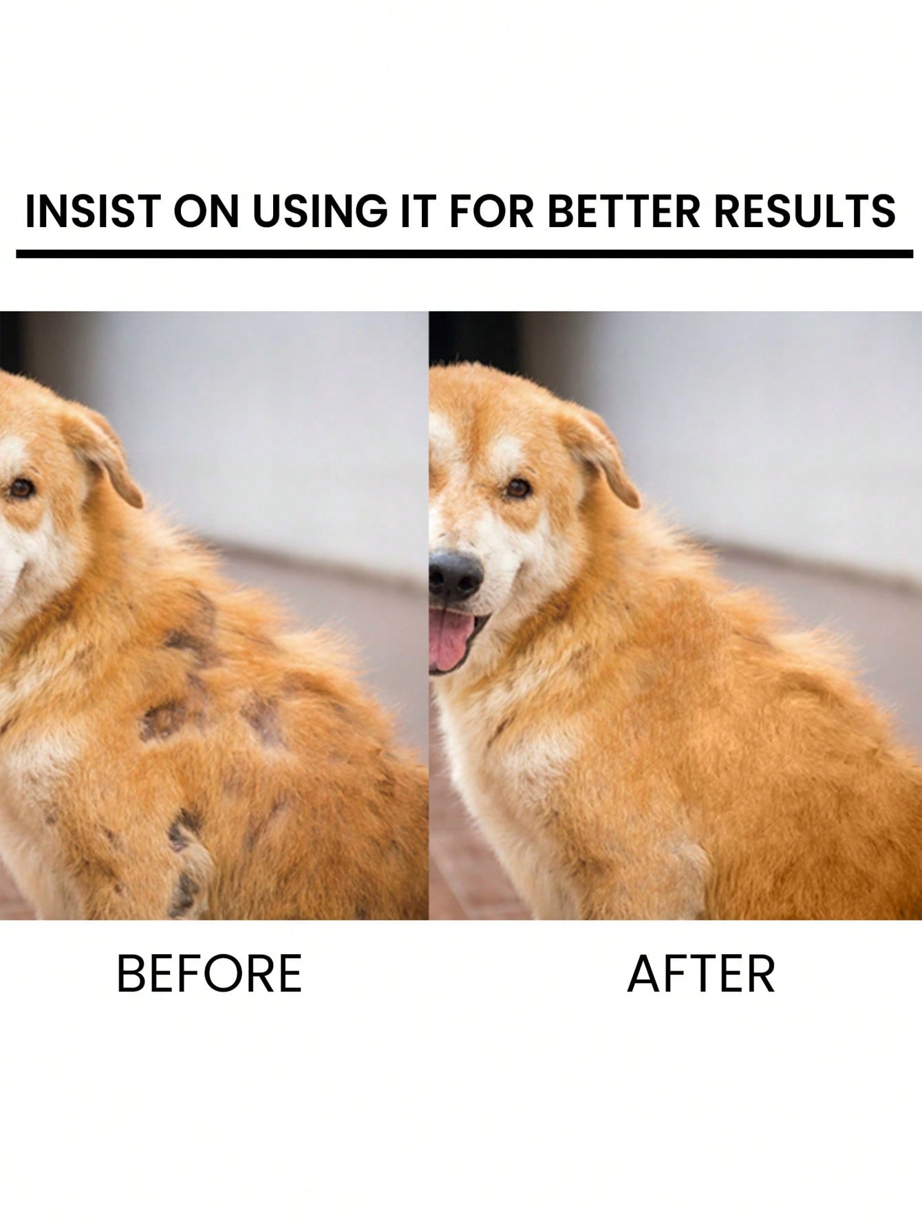 1pc Plastic Pet Hair Regrowth Spray For Dog And Cat For Health Care