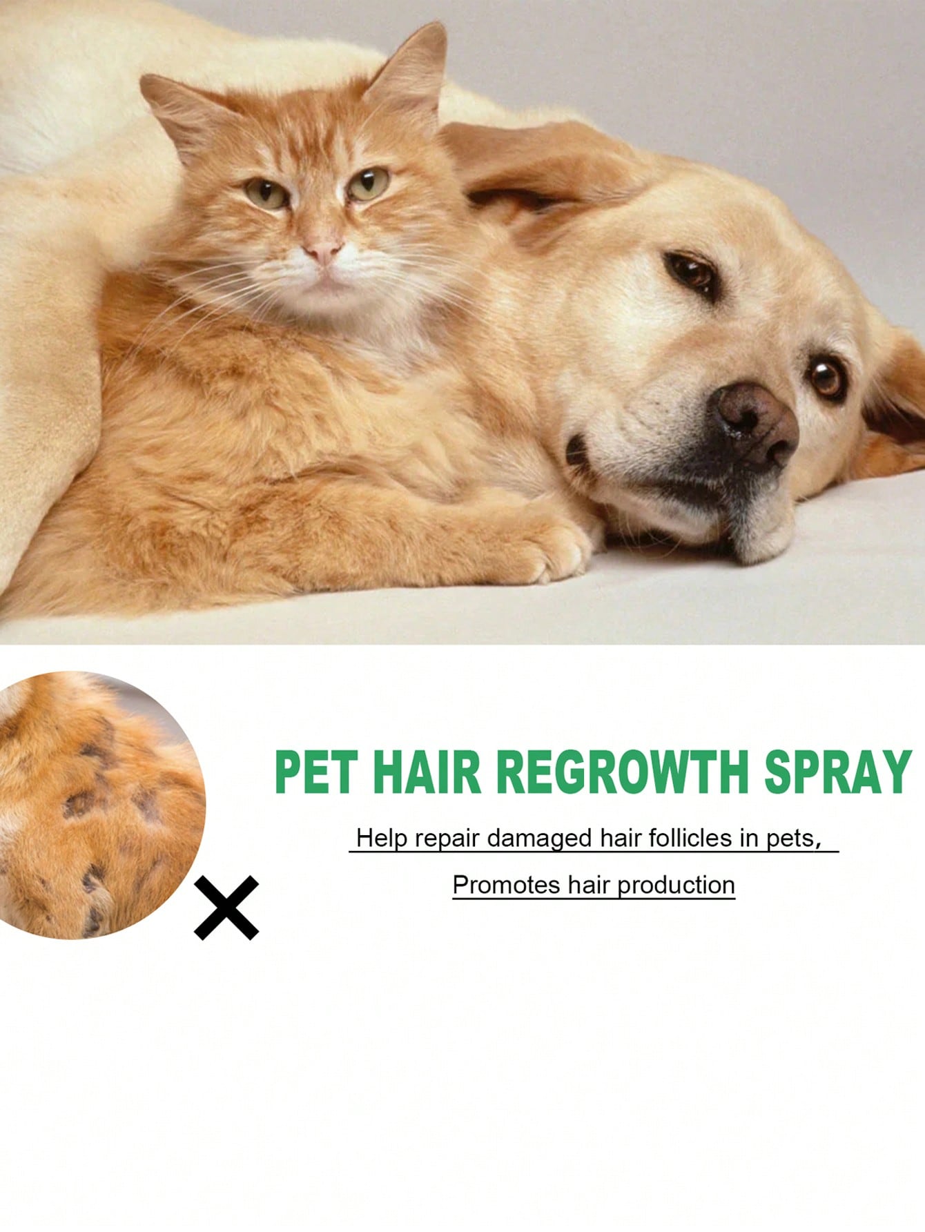 1pc Plastic Pet Hair Regrowth Spray For Dog And Cat For Health Care