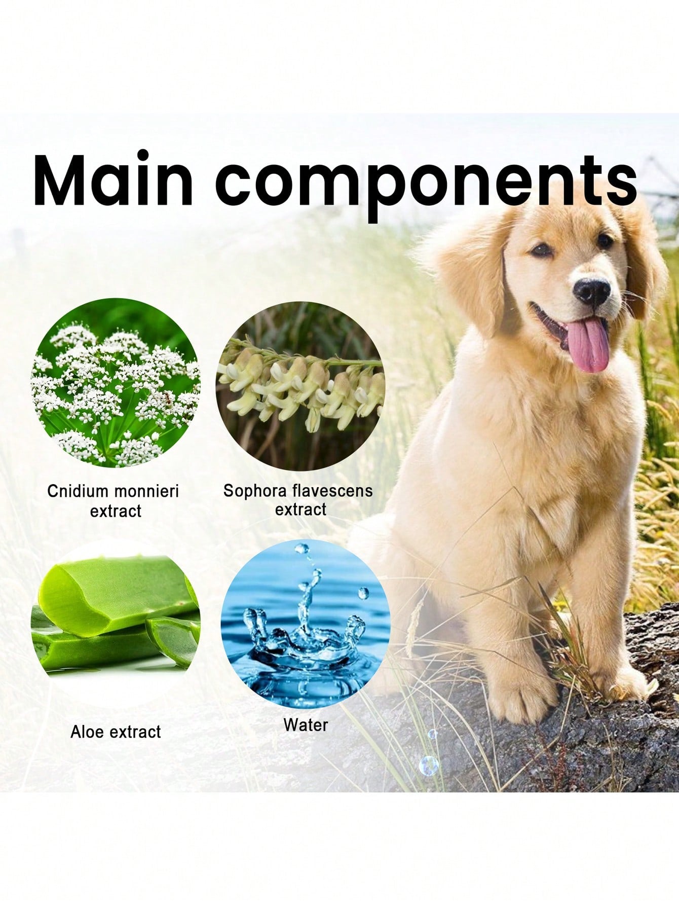 1pc Plastic Pet Hair Regrowth Spray For Dog And Cat For Health Care