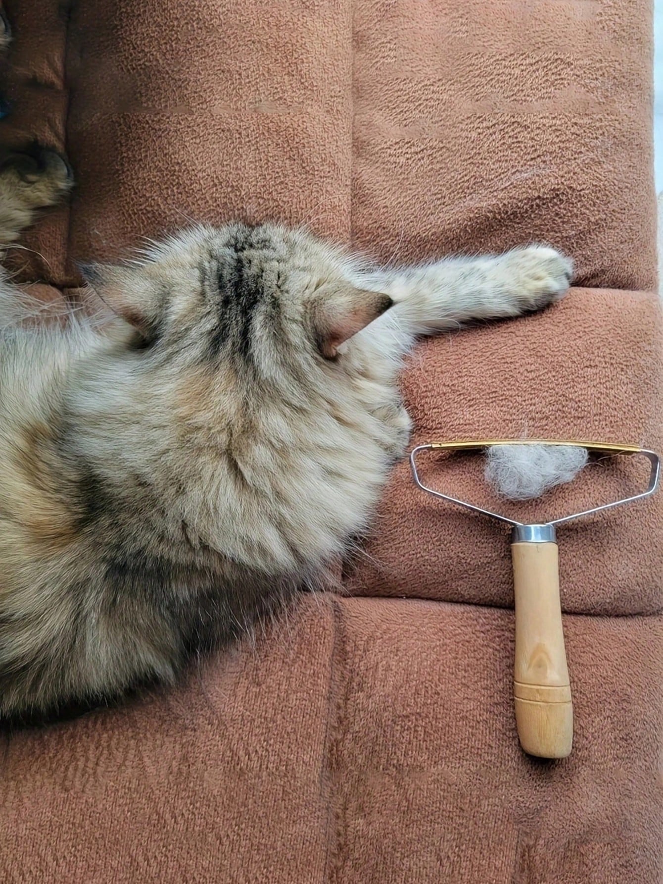 1pc Iron Alloy Pet Hair Removal Brush